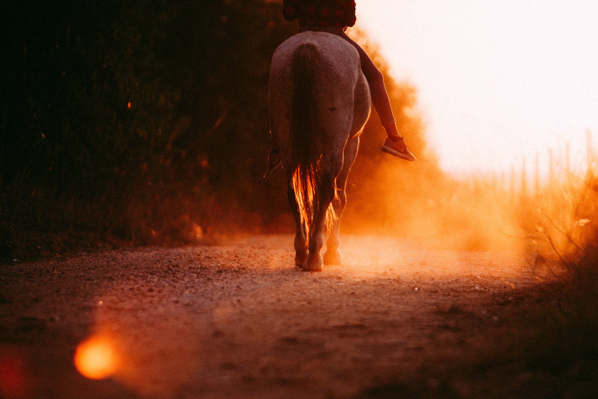 woman-riding-horse-at-sunset