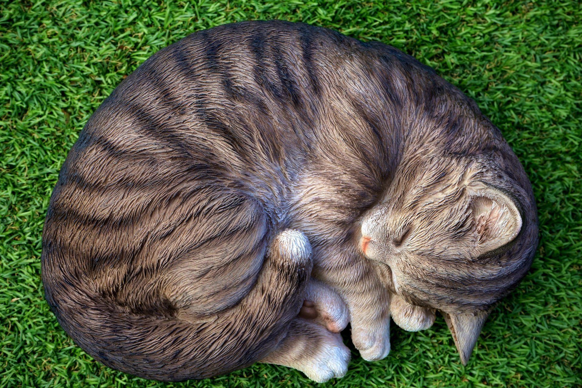 what-is-pilates