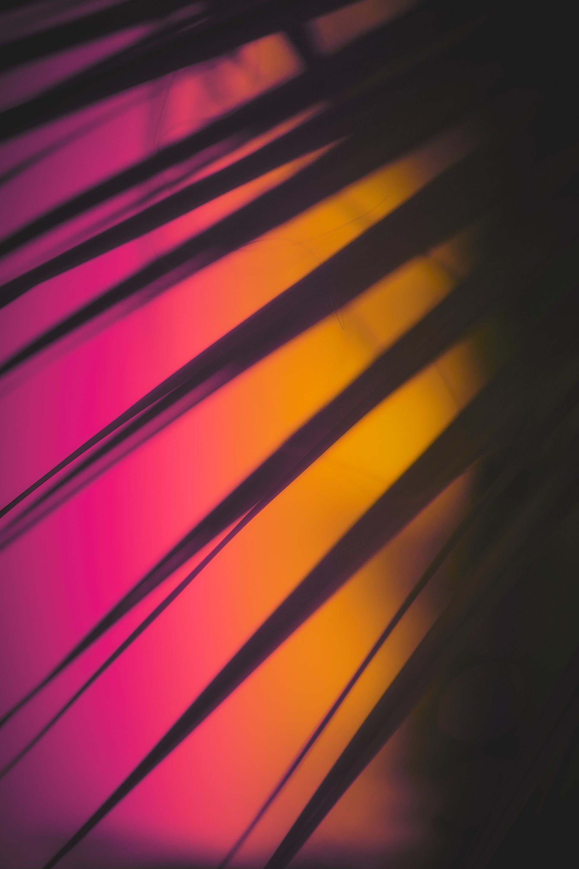Abstract neon image with pink and yellow with finger-like shadows