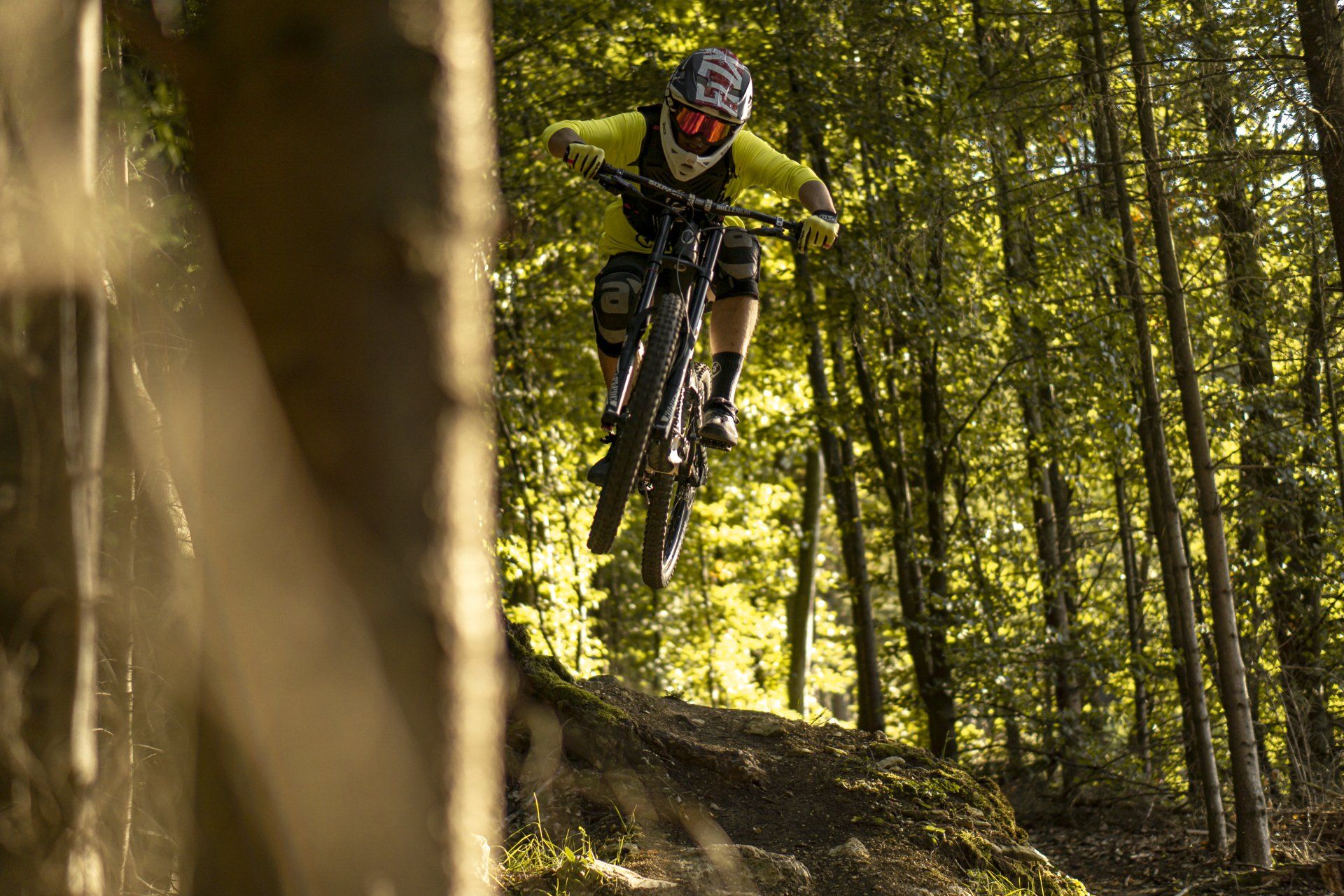 Mountain biker, biking on a woodland trail. 