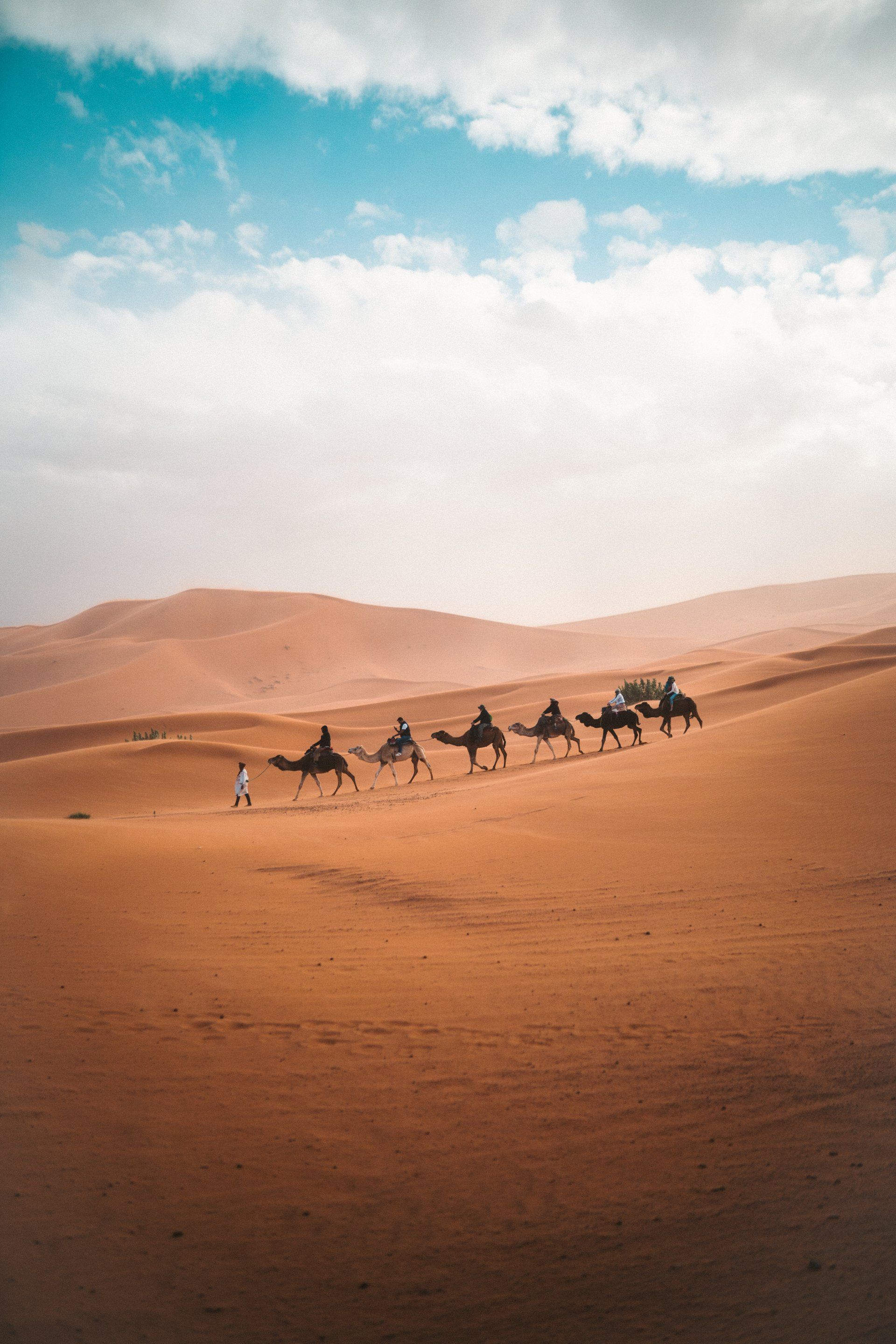 A Group of People Crossing The Sahara Desert, Mounting Camels, North Africa - Egypt Holidays Barter's Travelnet