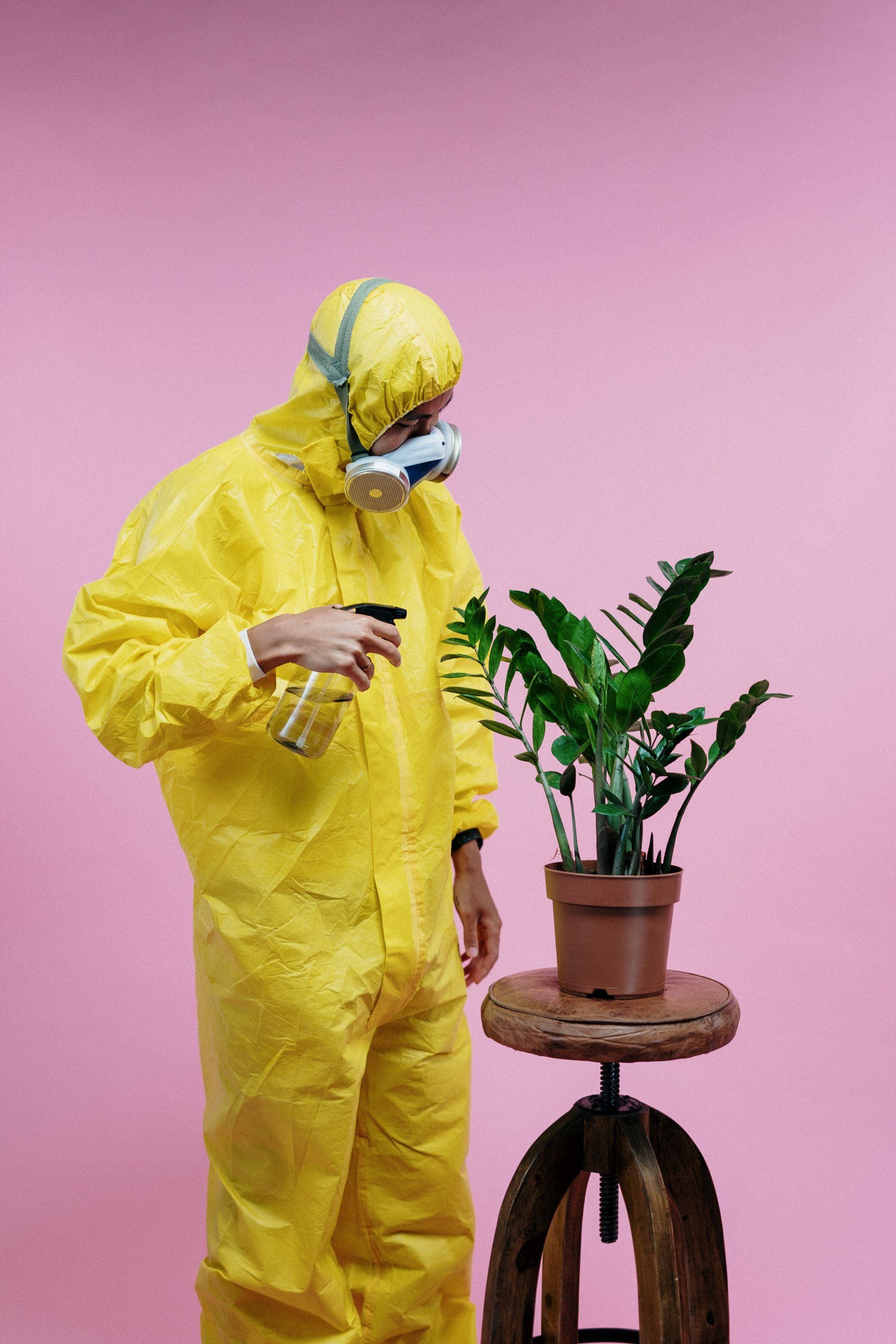a person spraying a plant