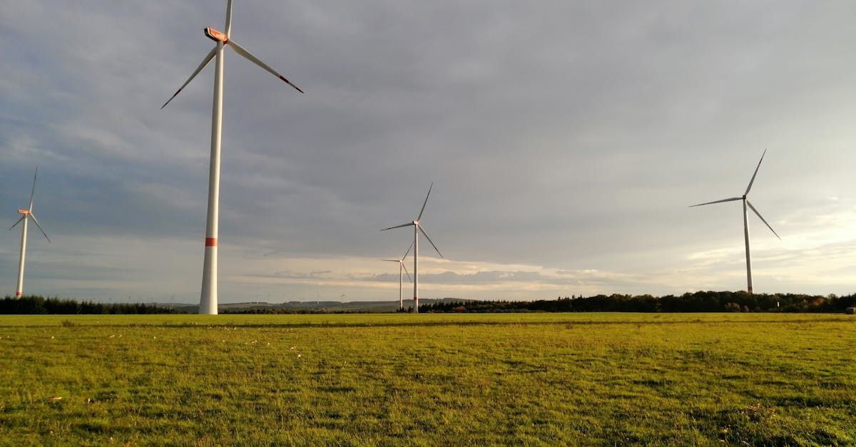 A group of wind turbines are sitting in a grassy field.