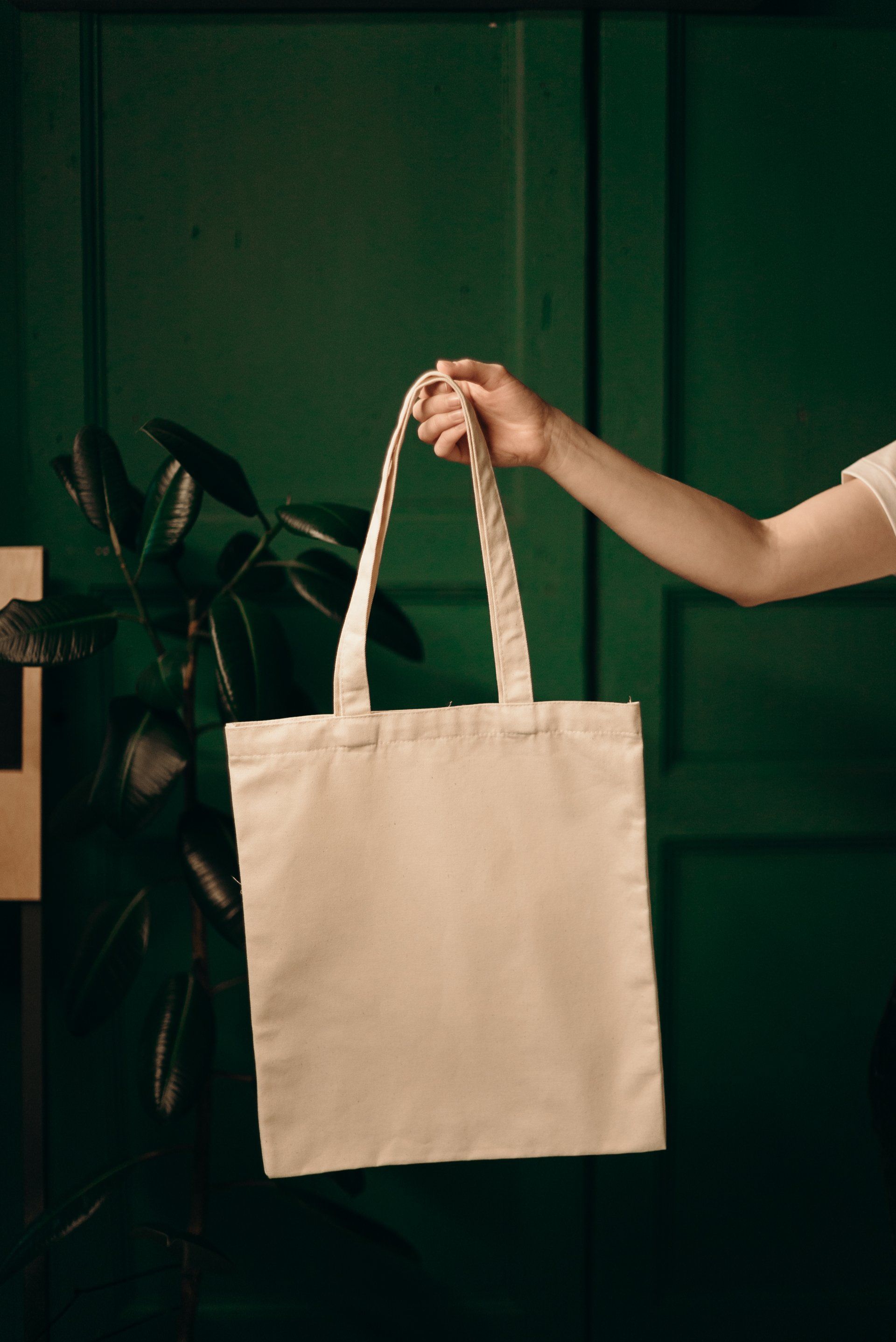 A person is holding a white tote bag with a rope handle.