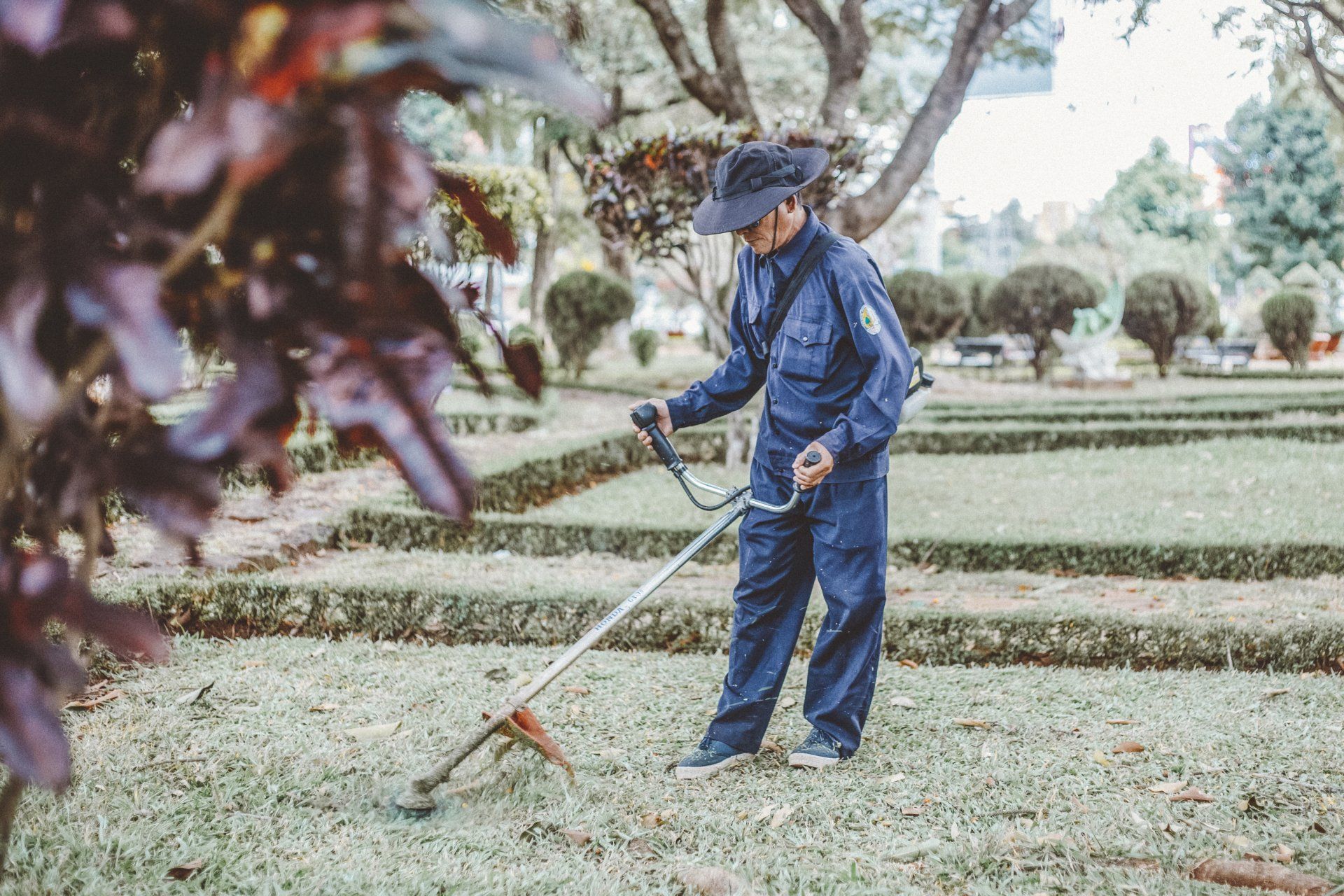 Arizona Water Conservation Rebates How To Finance Your AZ Landscaping 
