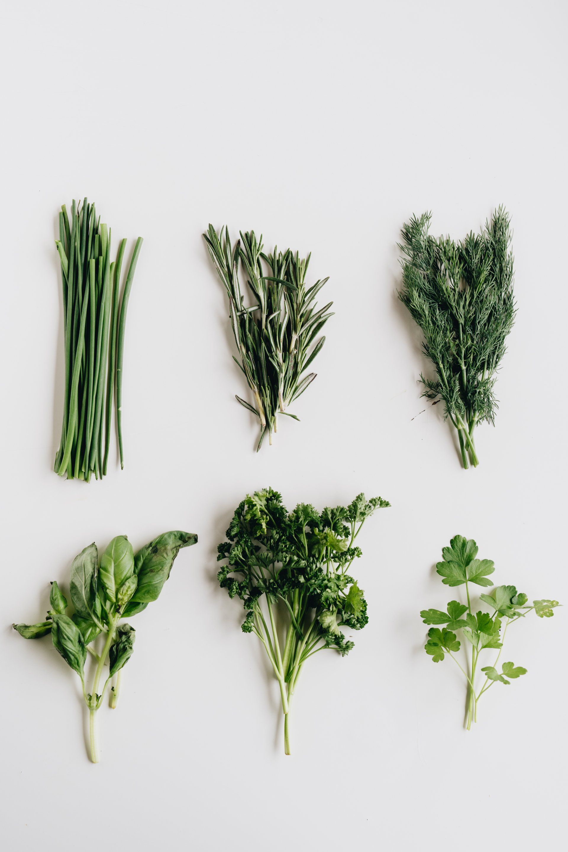 Hydroponic Produce Store