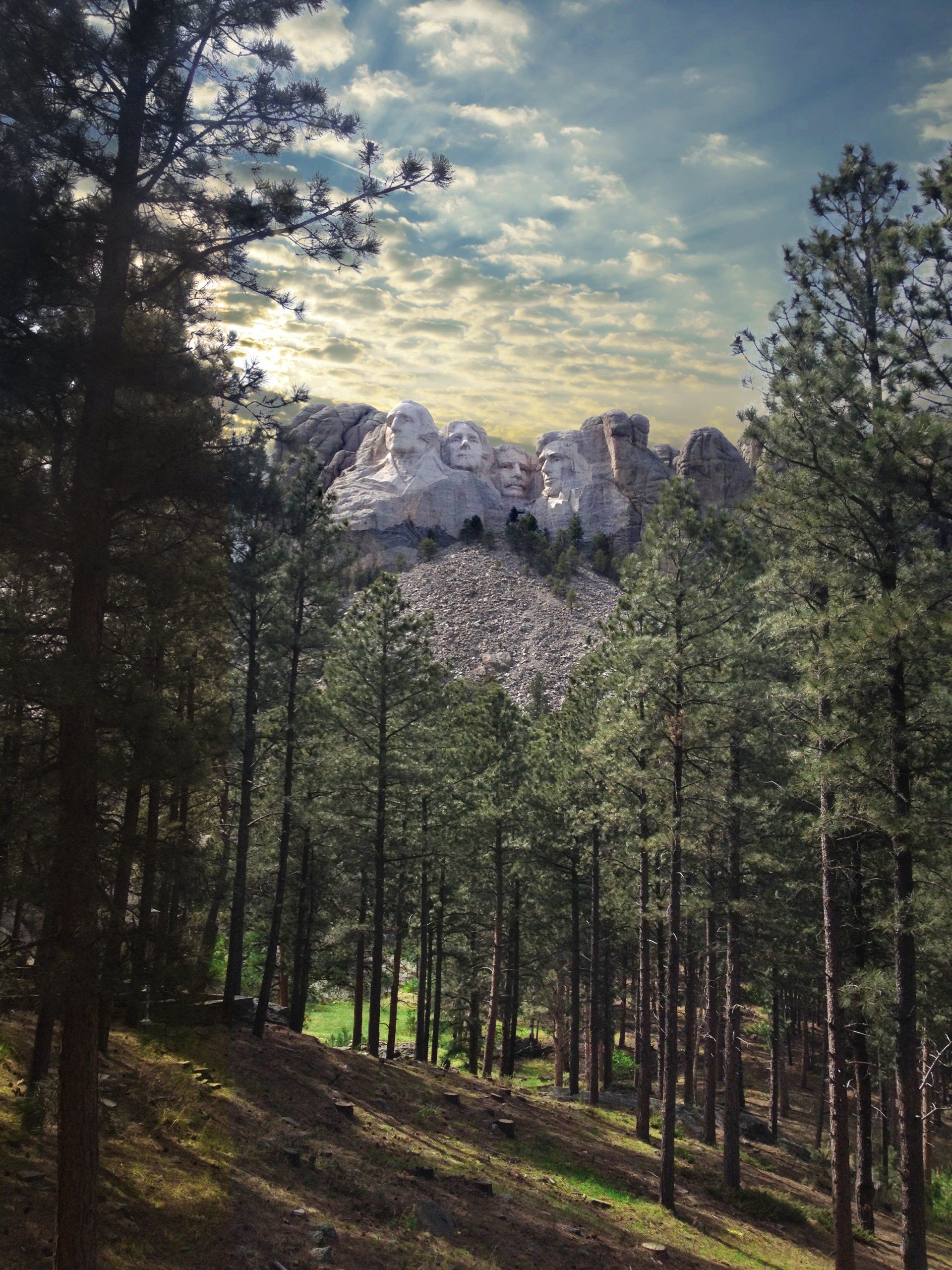 A forest with a mountain in the background
