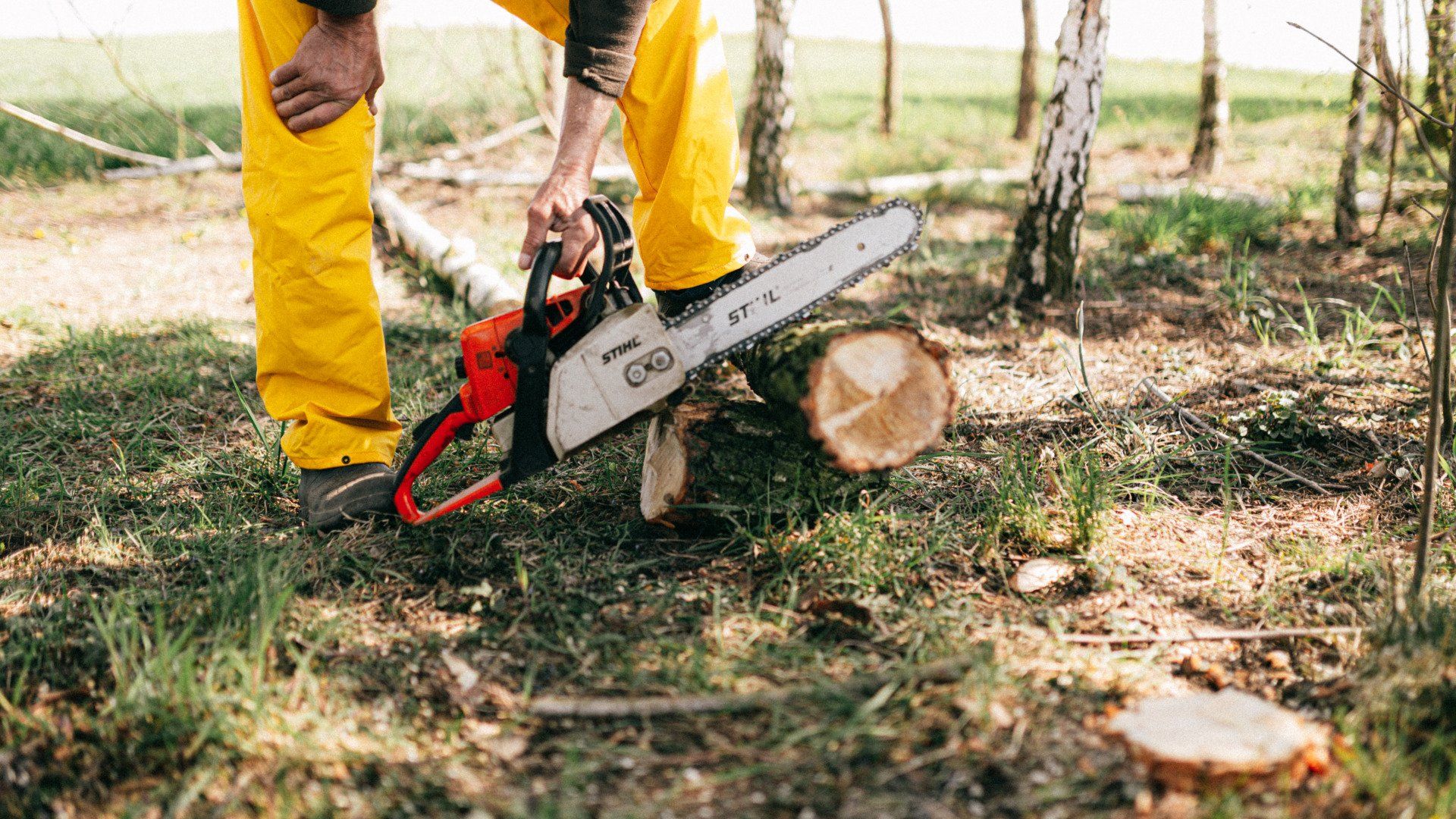 Providing comprehensive tree care tailored for commercial landscapes, our certified arborists are experts in maintaining tree health and safety while ensuring compliance with local regulations. We prioritize the aesthetic and environmental standards of your commercial property.