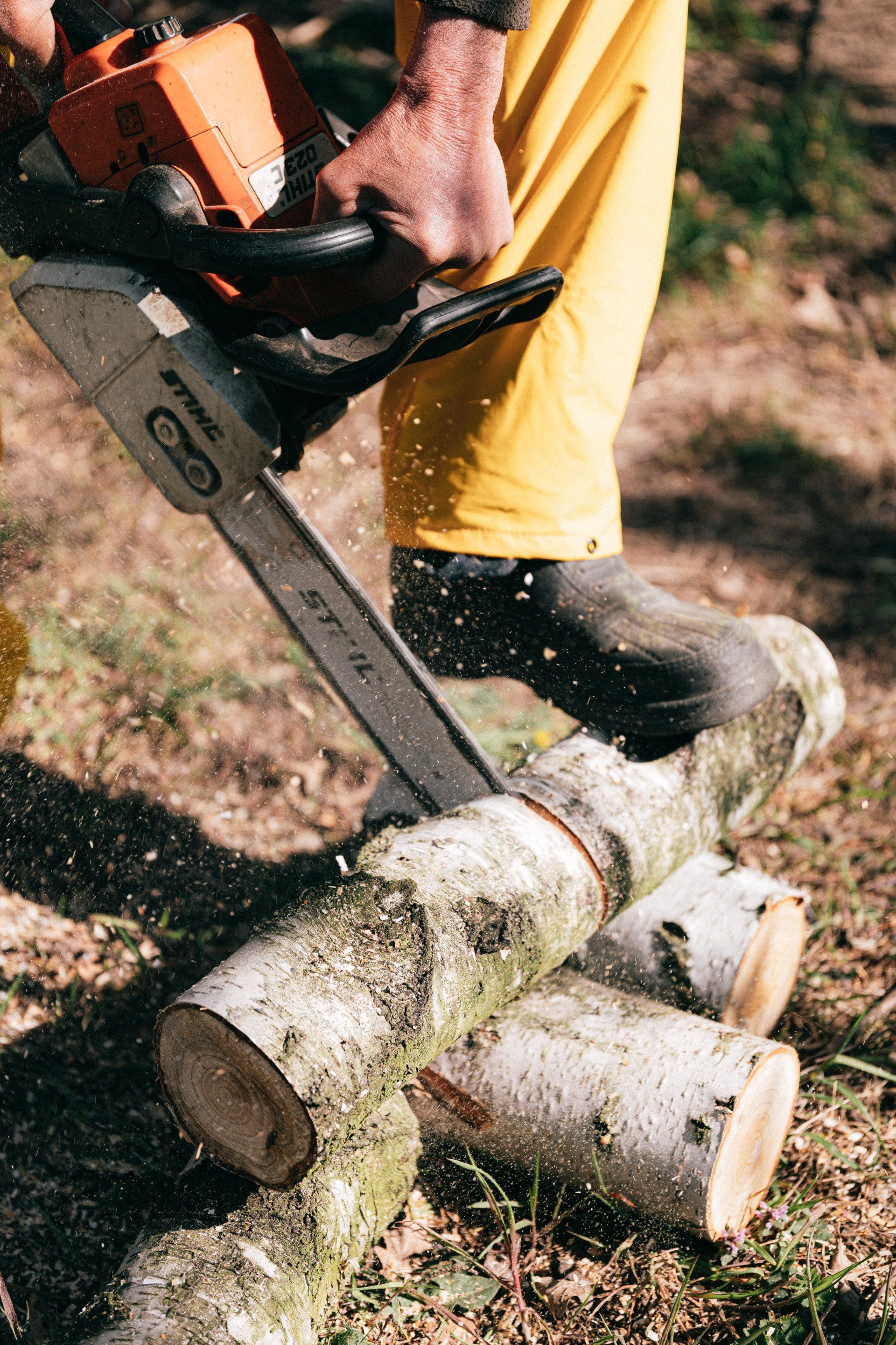 Focusing on the unique needs of residential landscapes, our certified arborists offer personalized tree care services. We collaborate closely with homeowners to maintain the vitality and beauty of their trees, ensuring they are an integral and flourishing part of the home’s outdoor space.