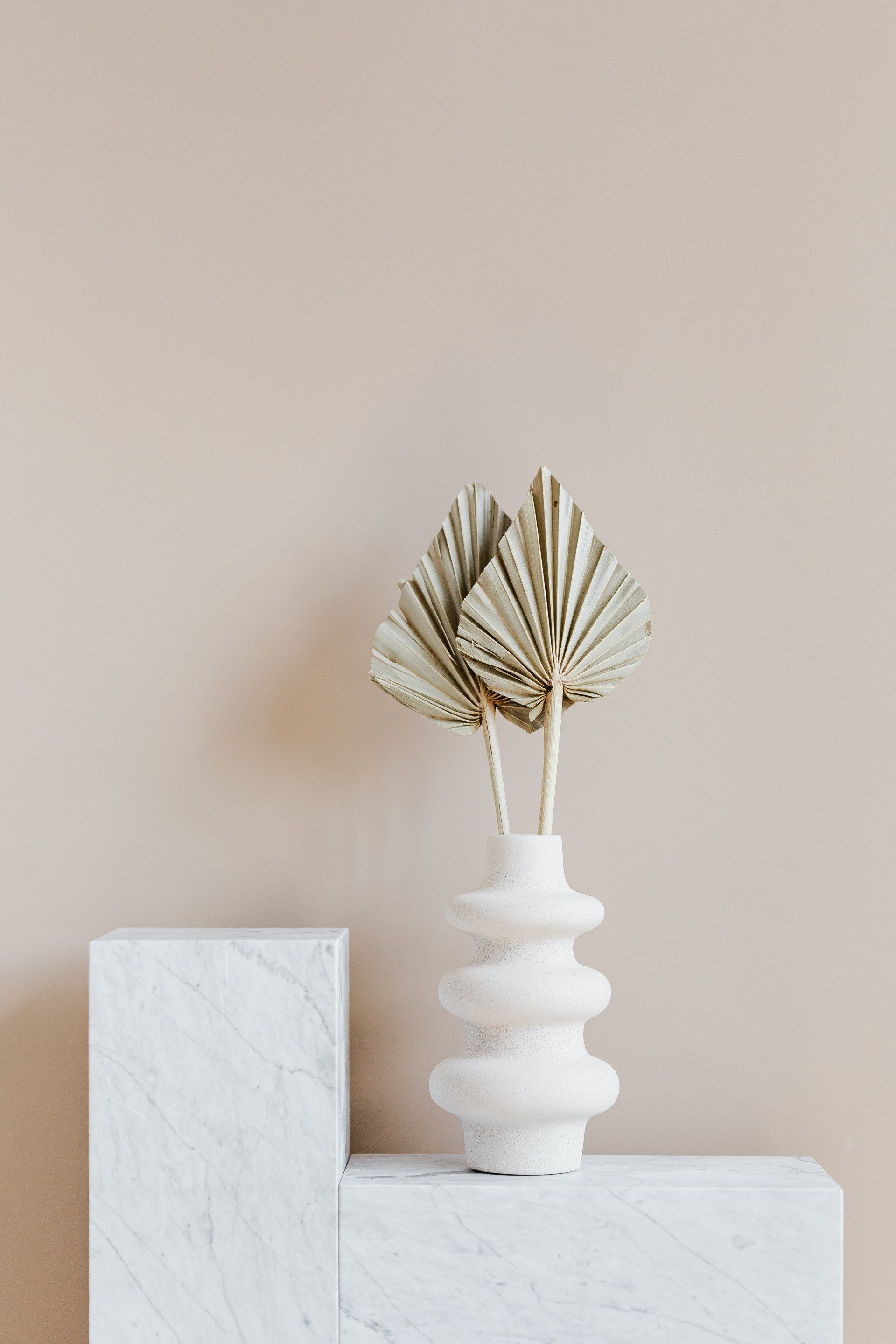 Een rustgevende decoratie met een witte vaas met een soort bloem erin, minimalistisch leven