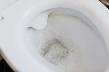 toilet repair service hamden ct