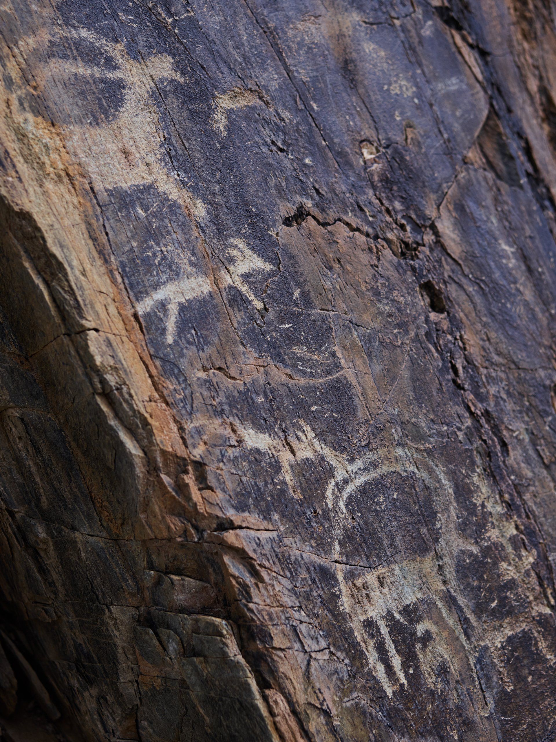 A close up of a rock with petroglyphs on it