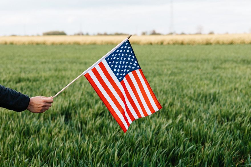 A person is holding an american flag in a field.