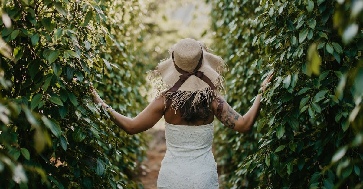 A woman in a white dress and hat is walking through a lush green forest.