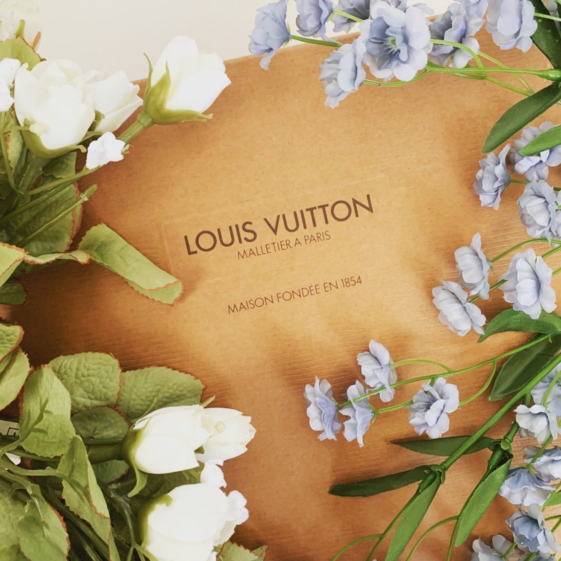 Image of Louis Vuitton package.