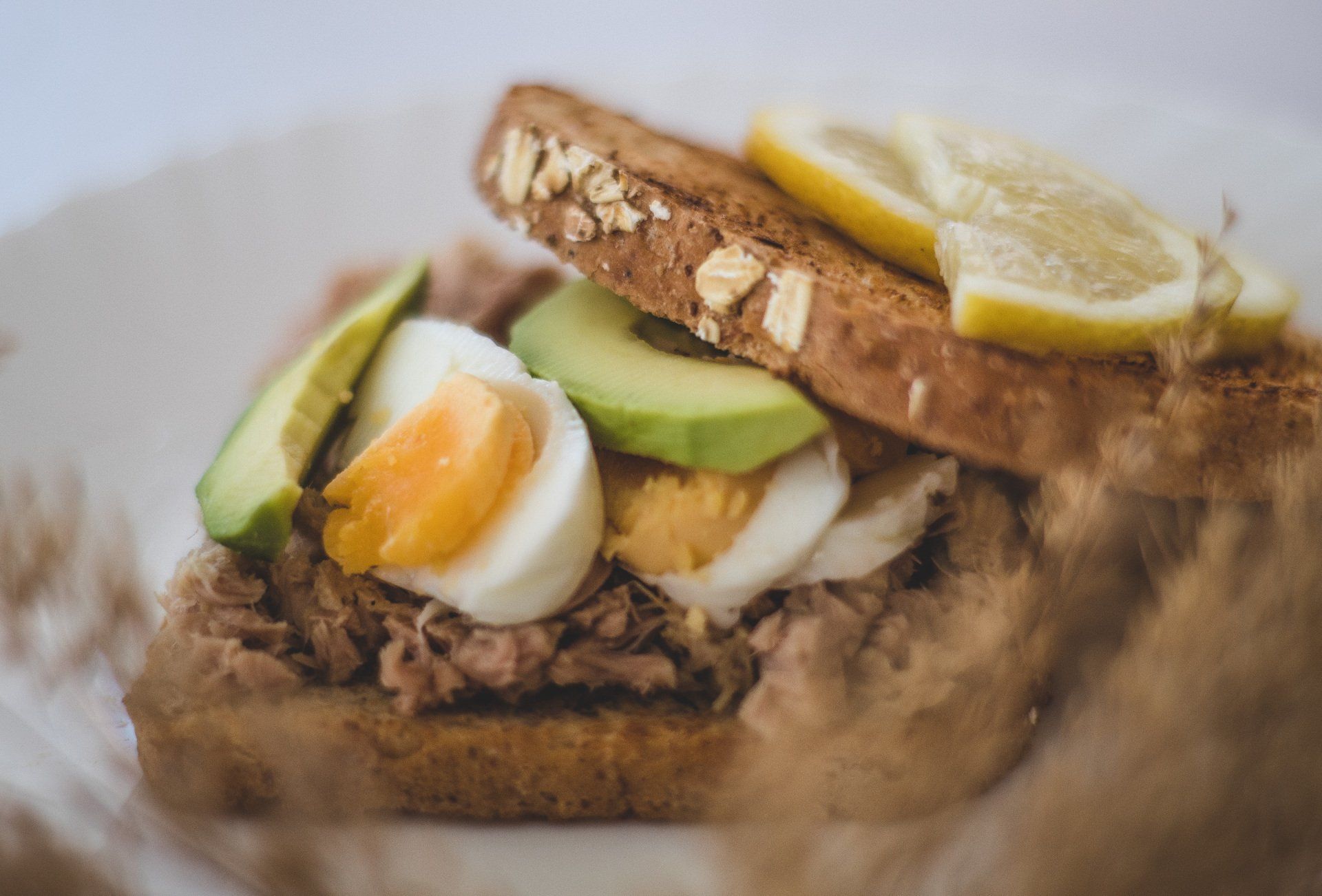 A close up of a sandwich with tuna , eggs , avocado and lemon slices on a plate.