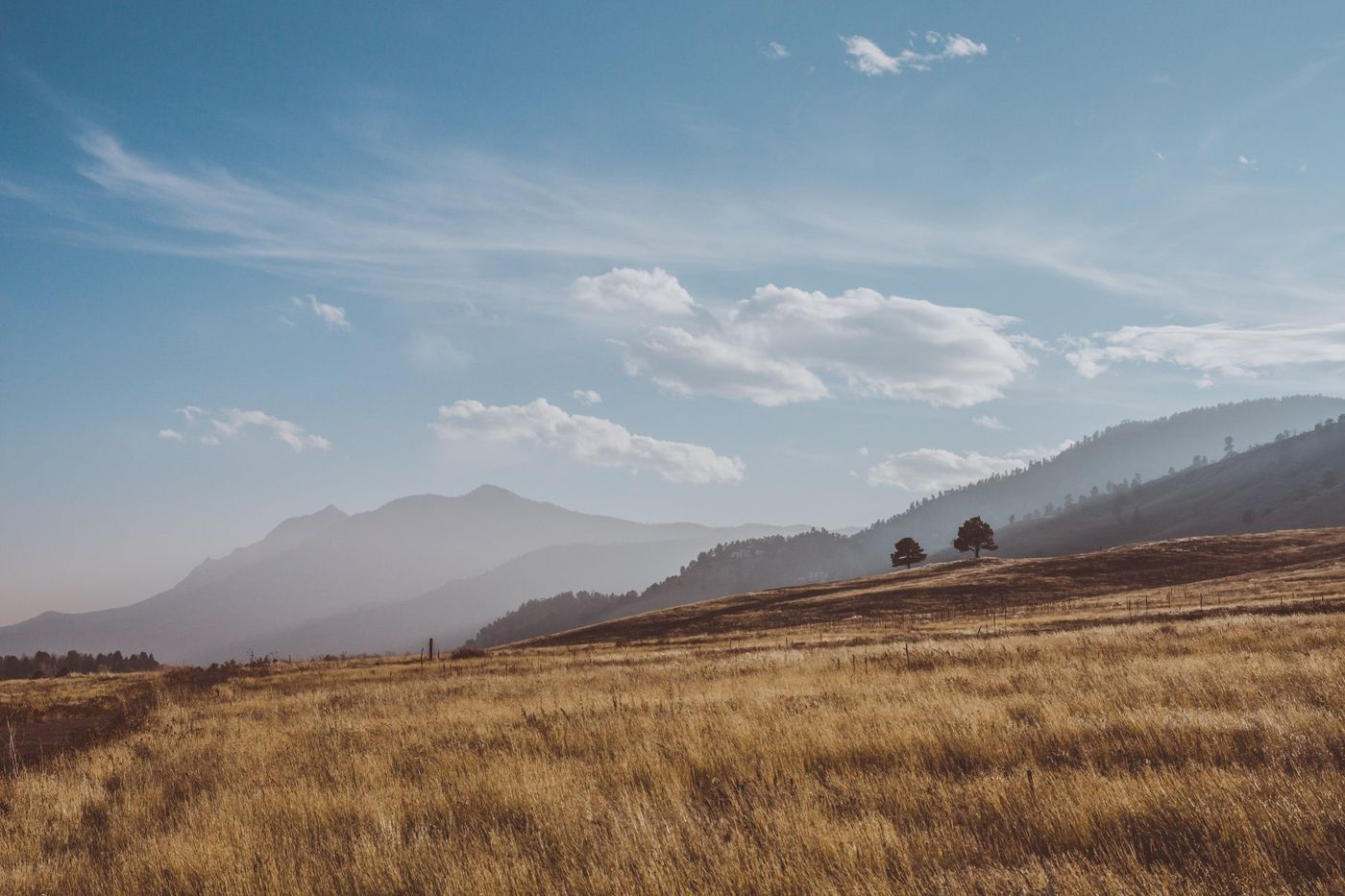 A field of dry grass with mountains in the background on a sunny day.