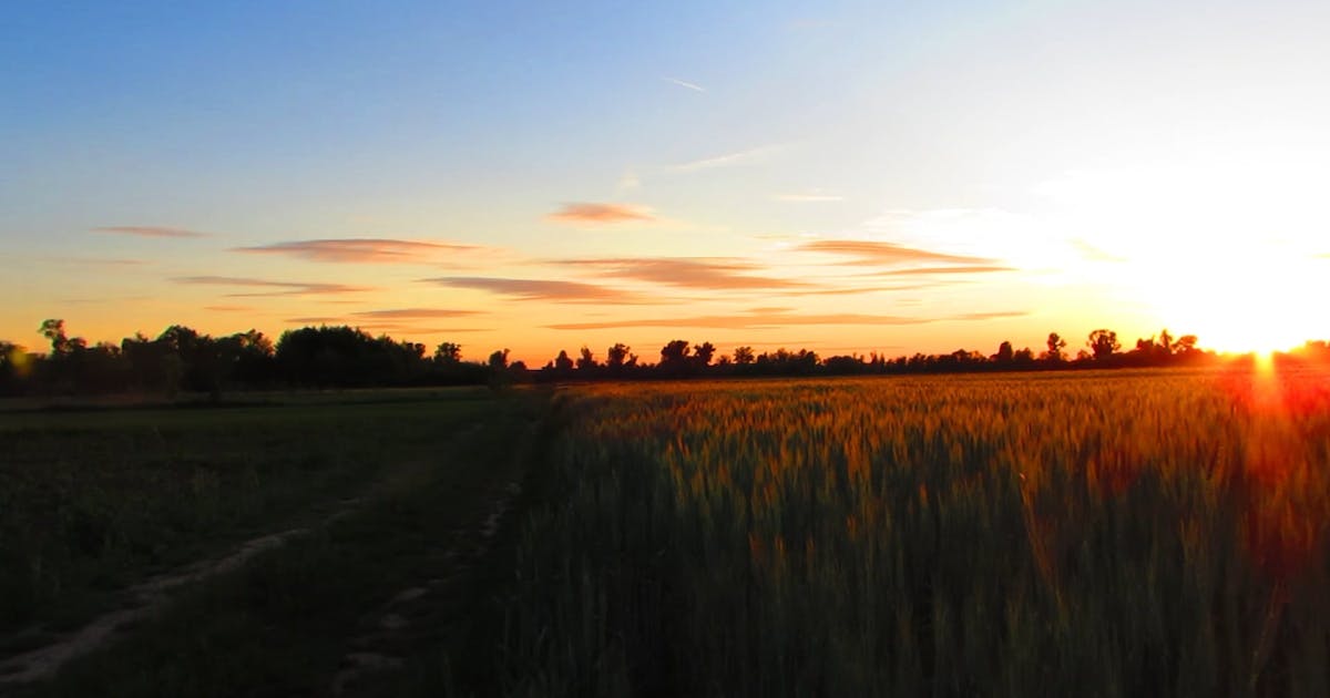 Snake River SD #52 | Idaho Farming Community School Info, Updates and Blog    