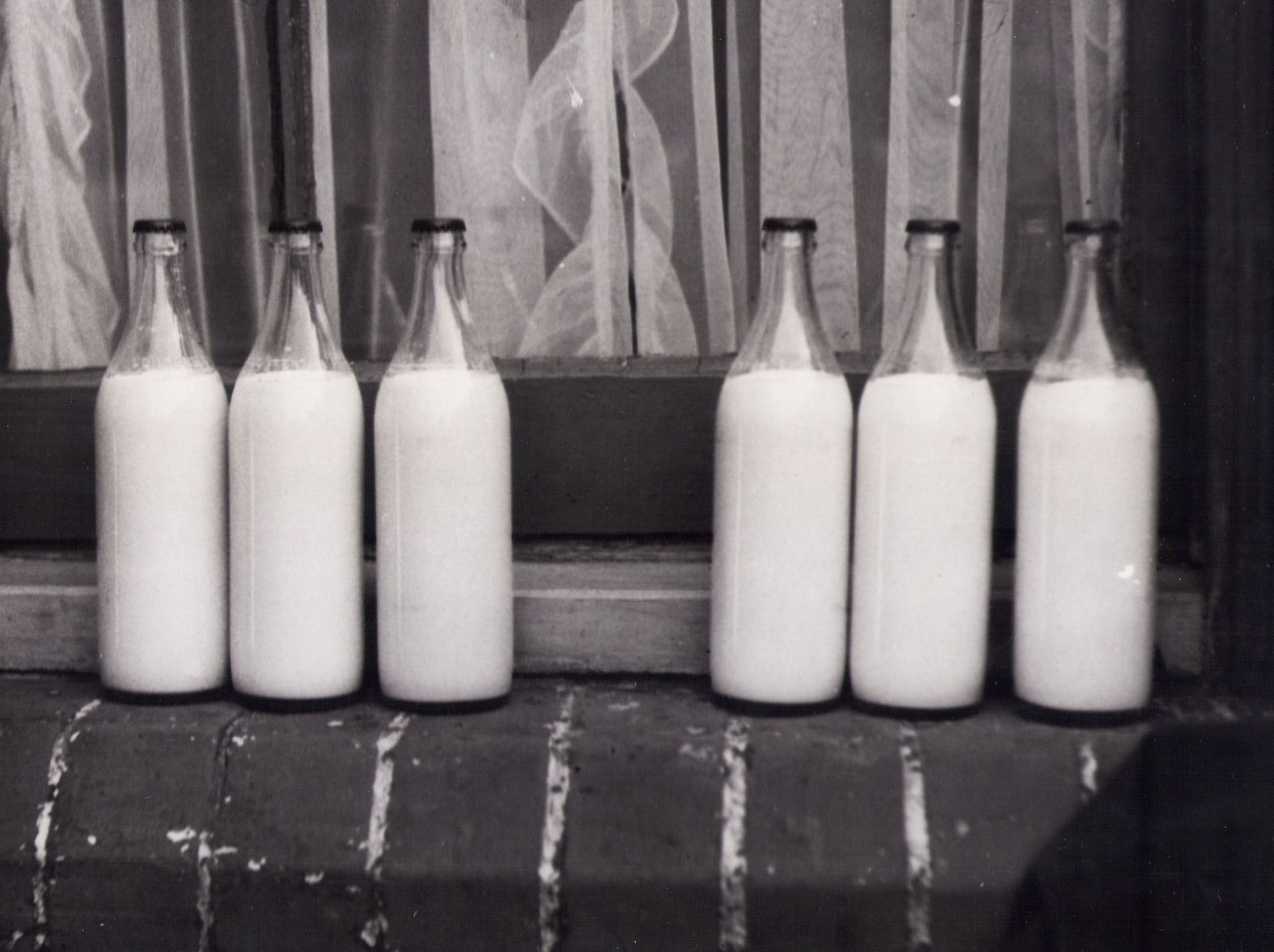 Several bottles of milk are lined up on a window sill