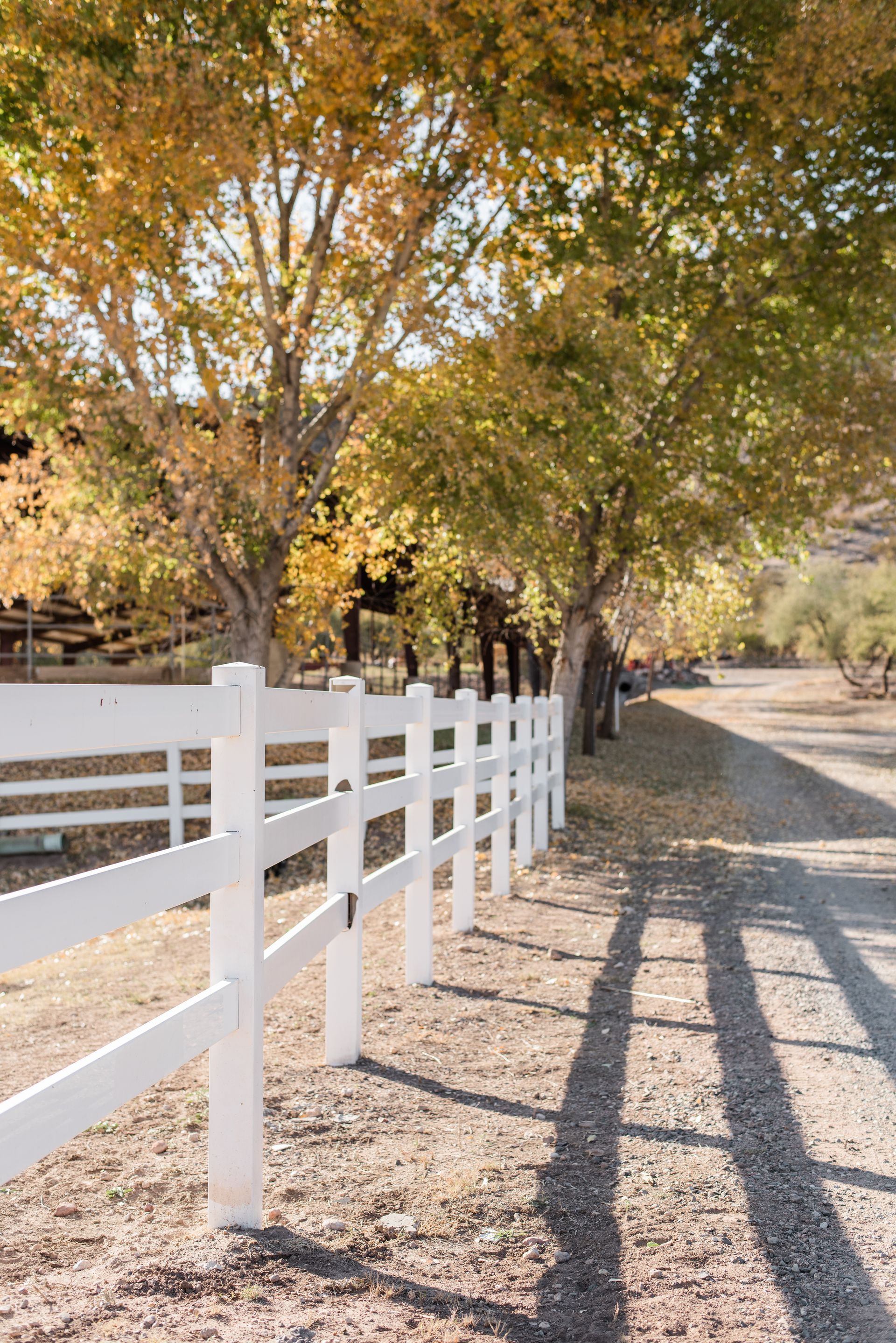 Pro Stump Removal and Best Fencing Contractors in Mechanicsburg and Cumberland PA