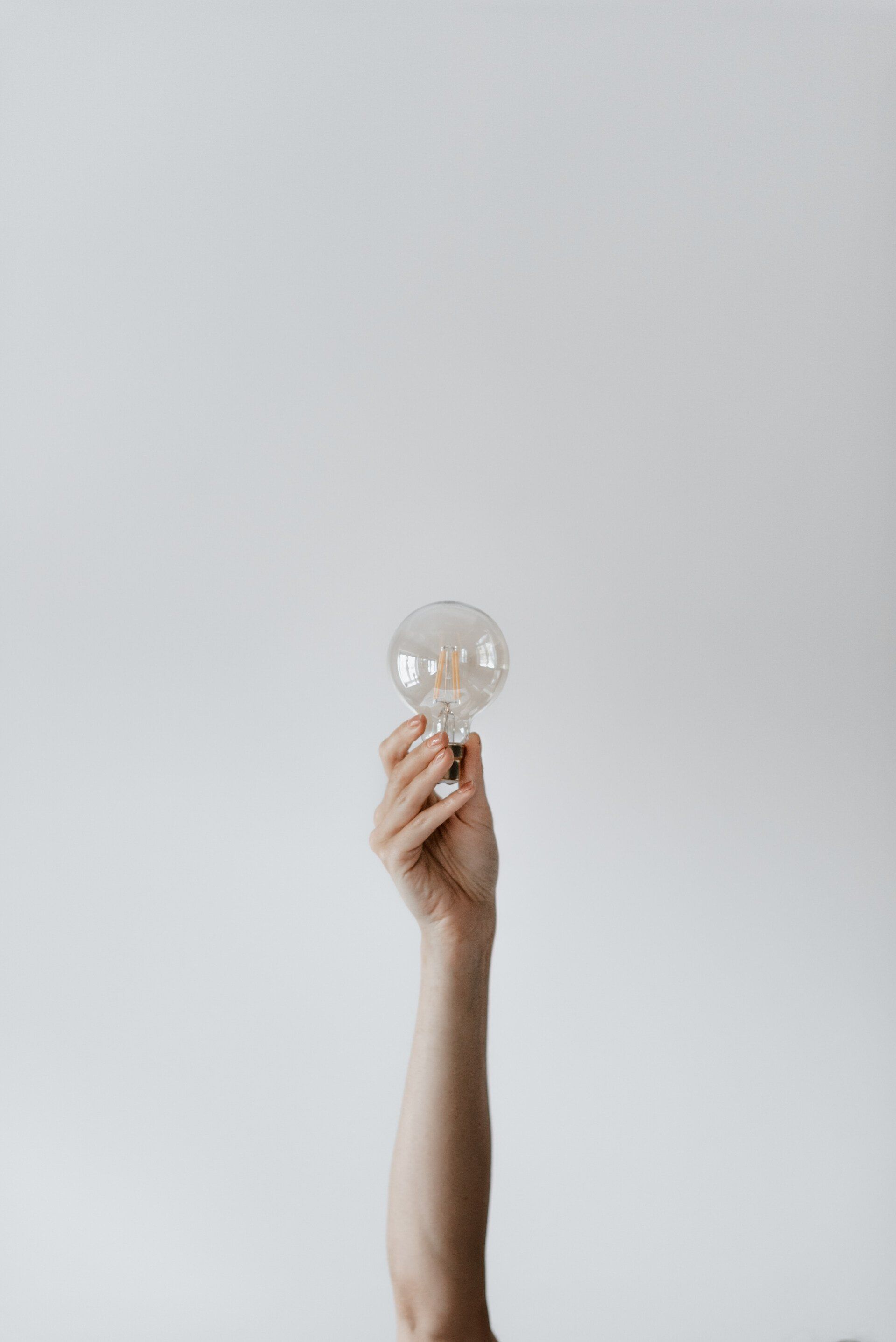 a hand holding a bulb