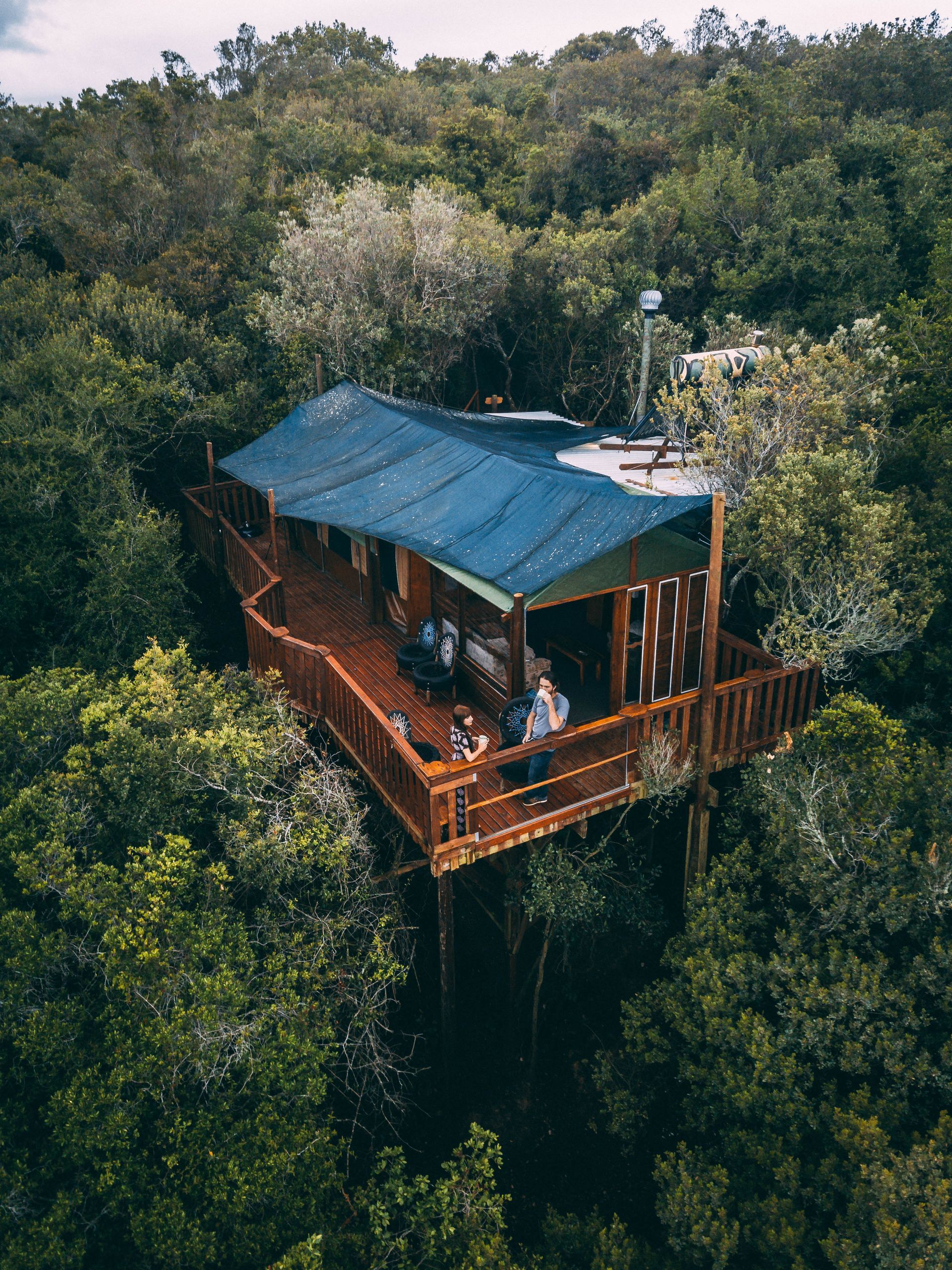 Wooden cabin with deck nestled in lush green trees.