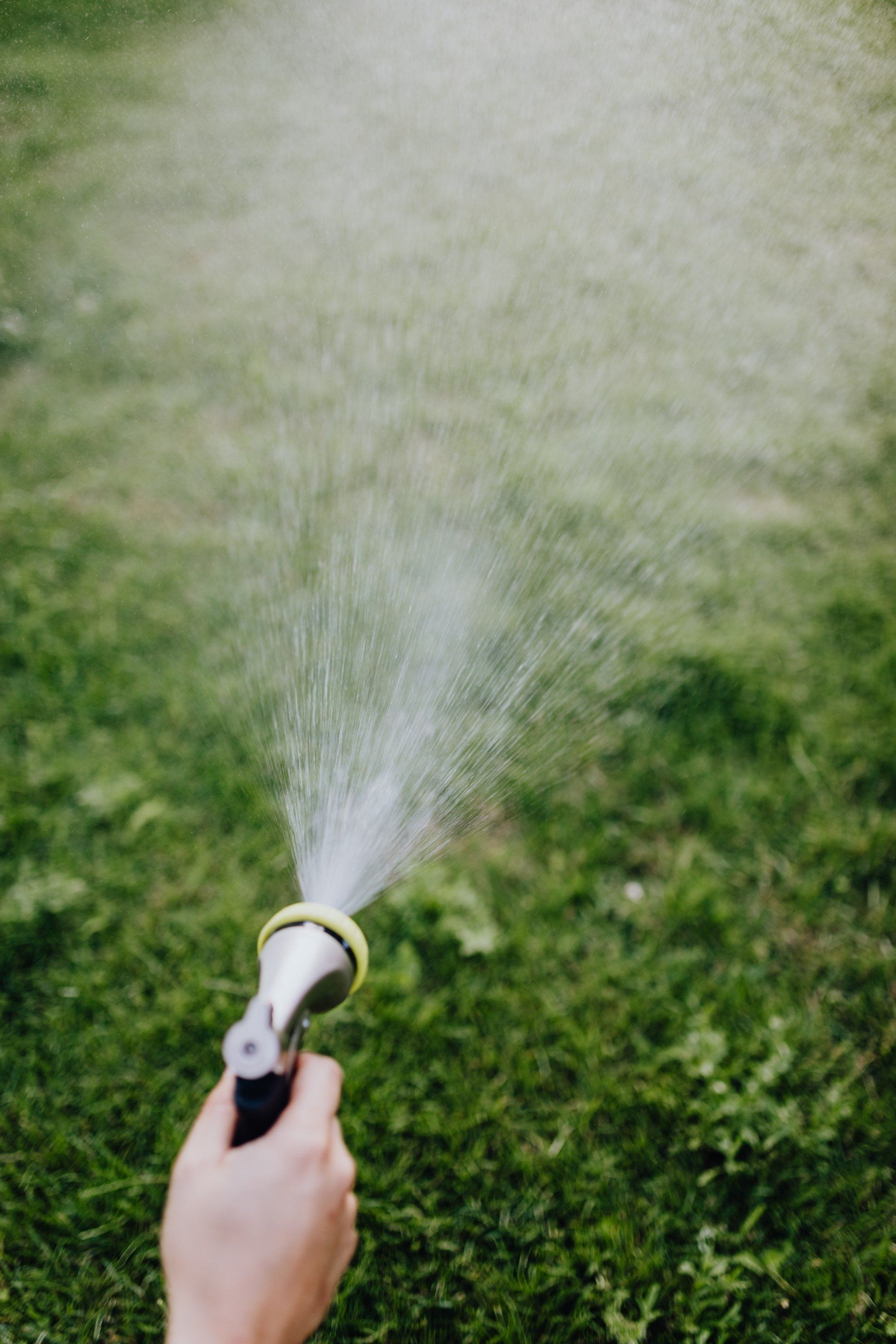 A grassy yard being sprayed manually