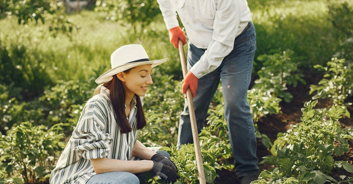 A woman and man digging irrigation trenches for their garden