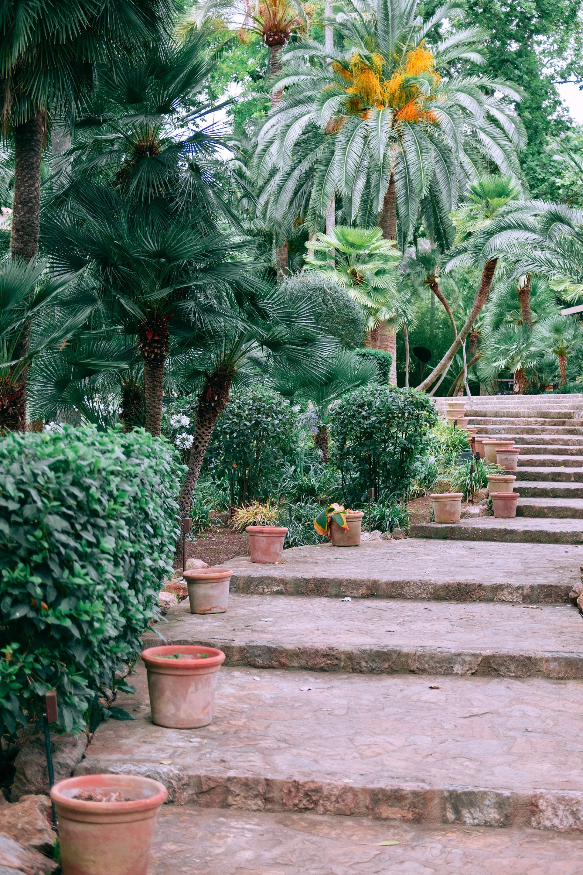 Una hilera de escaleras que conducen a un exuberante jardín verde rodeado de macetas y palmeras.