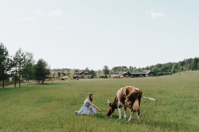 Maximizing Savings: A Guide to Applying for the Homestead 