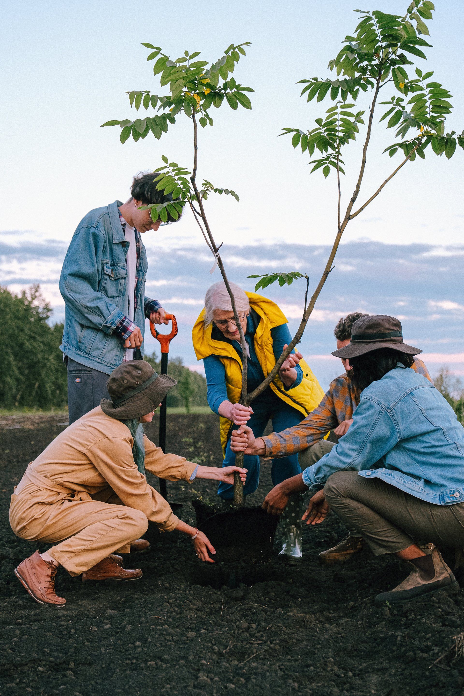 A group of people are planting trees in a field.