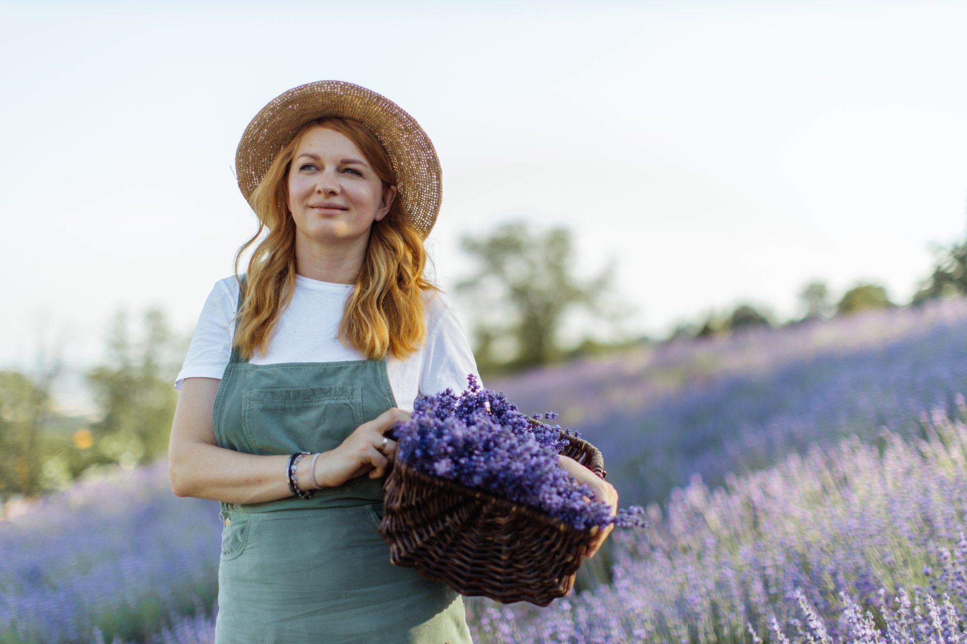A woman is standing in a lavender field holding a basket of purple flowers.