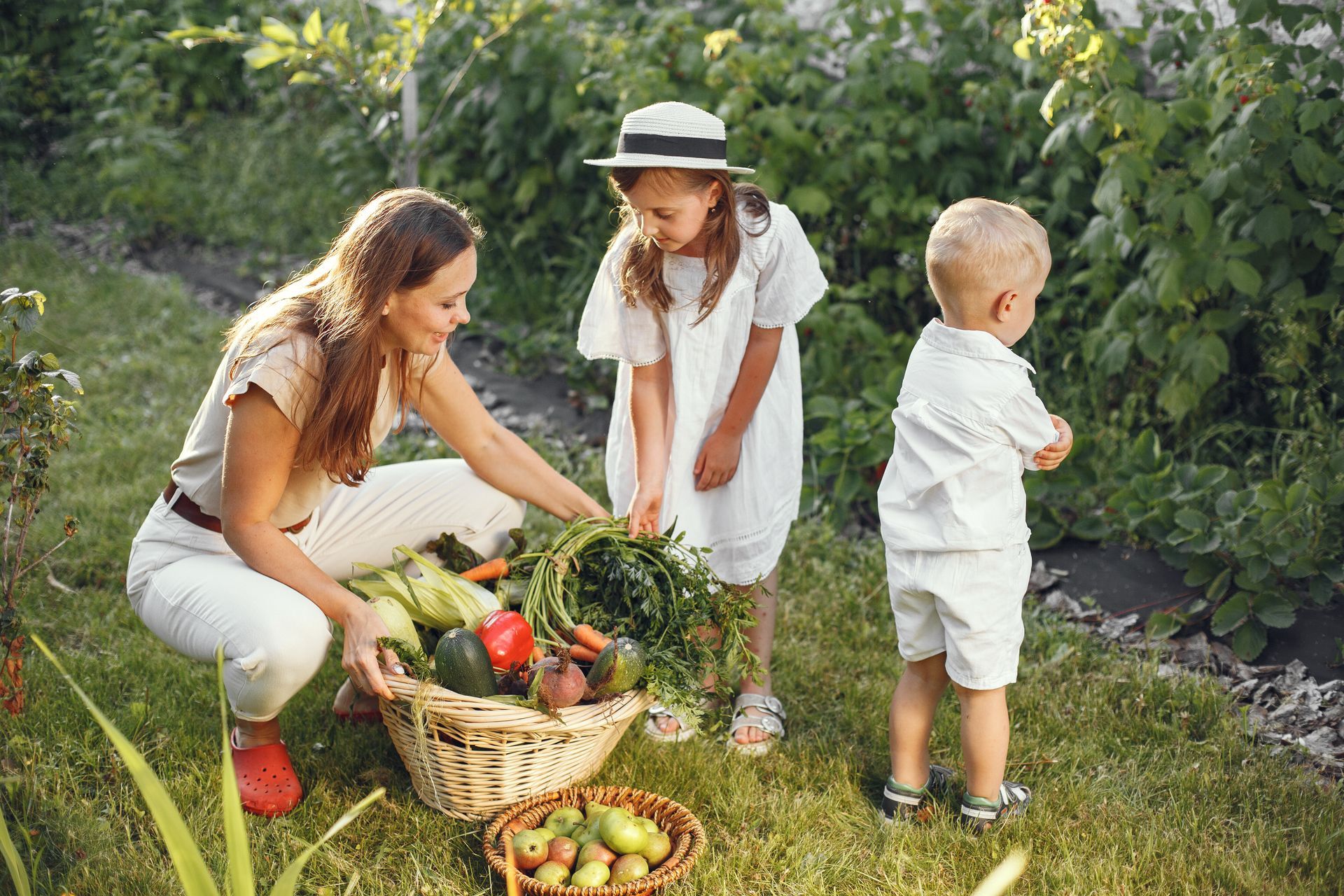 A woman and two children are picking vegetables in a garden.