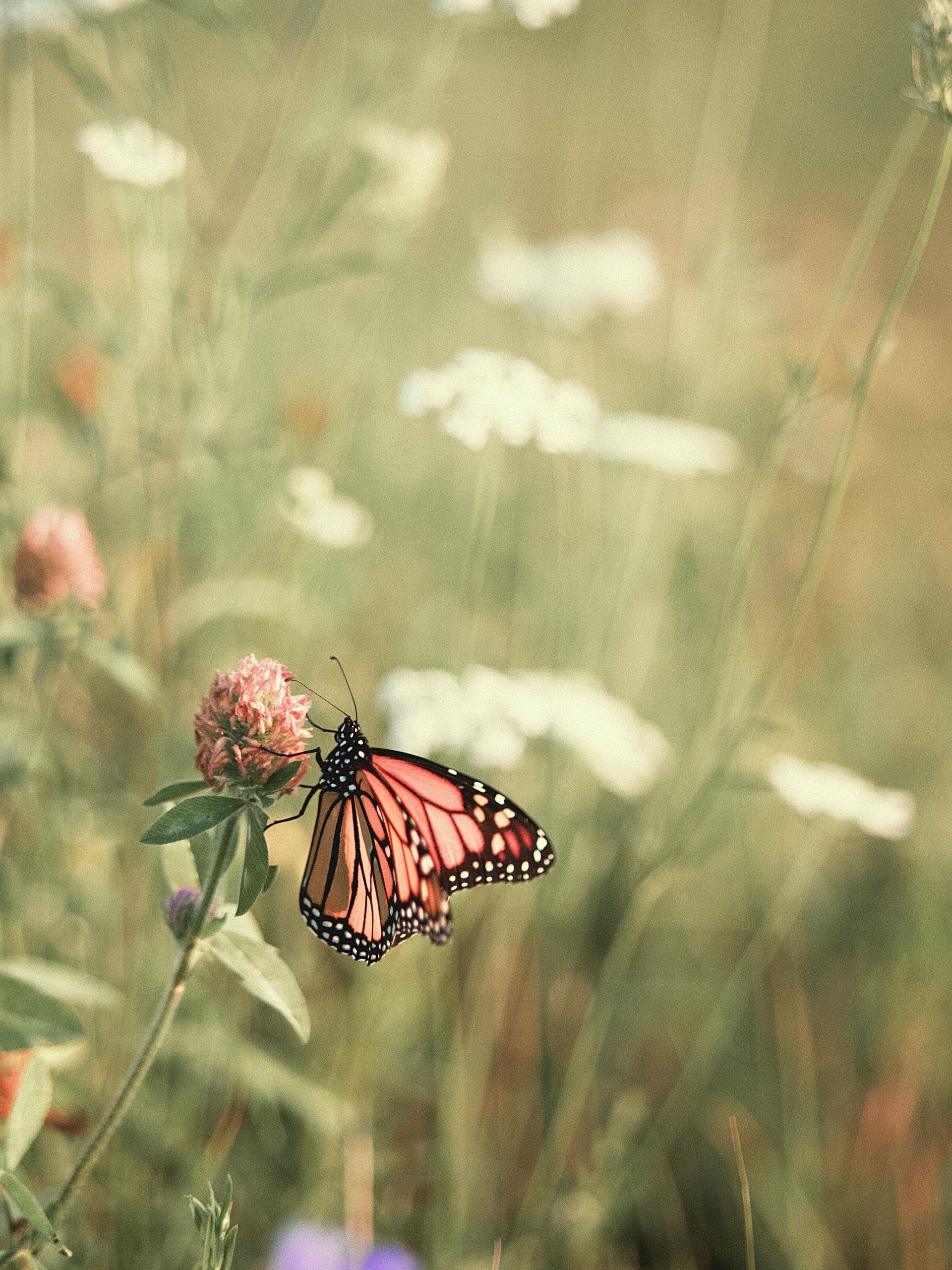What Does Nature Do For You? by Sue Cartwright, Spiral Leaf