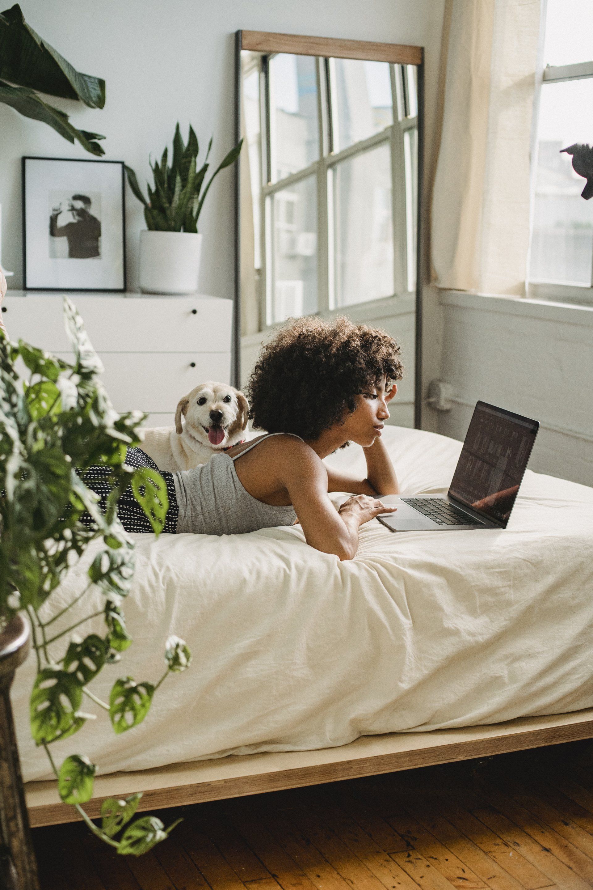 woman lying on the bed with her dog working on a laptop
