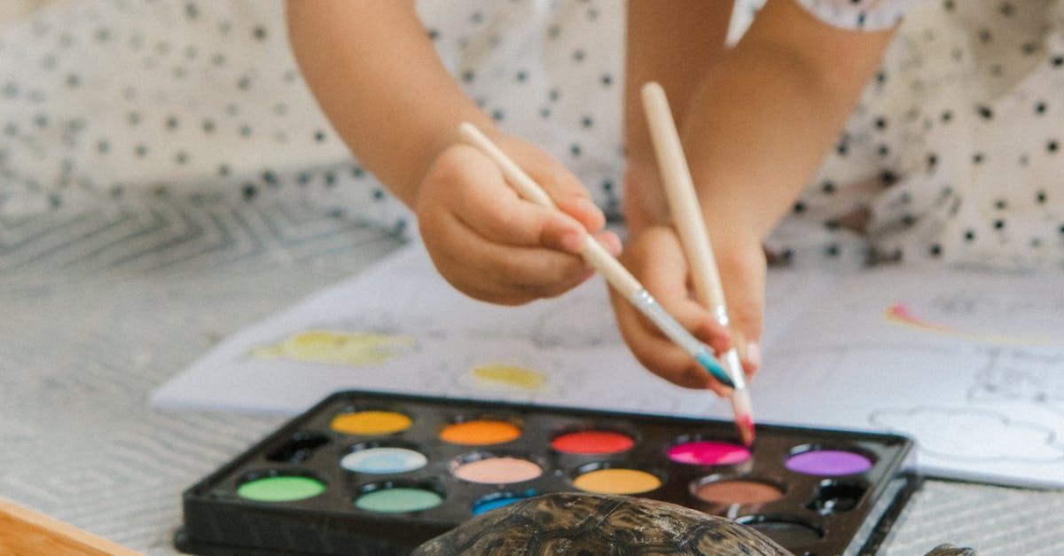 Un enfant peint un rocher avec des aquarelles.
