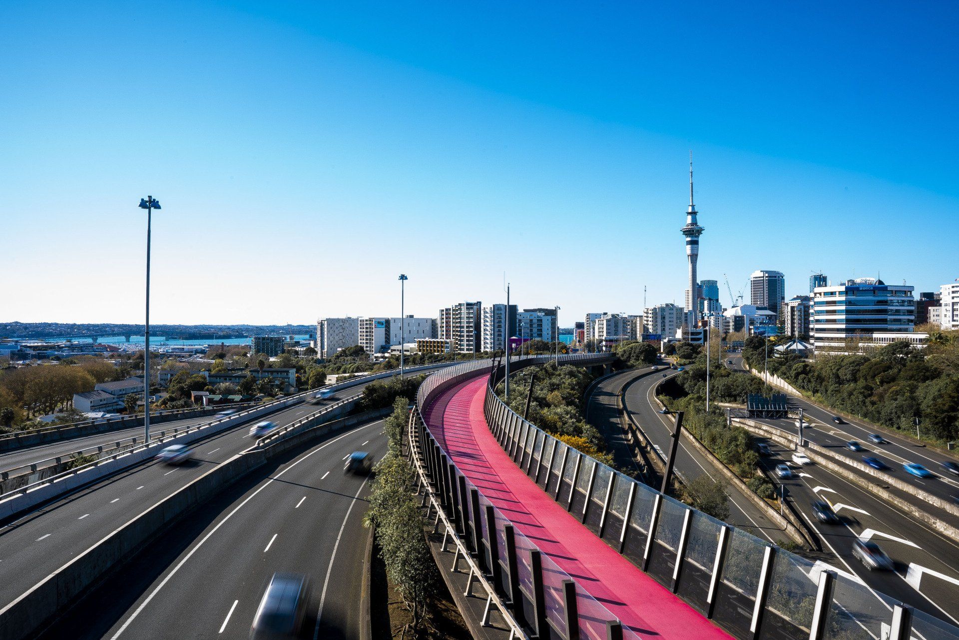 A highway with a pink bike lane and a Auckland New Zealand in the background.