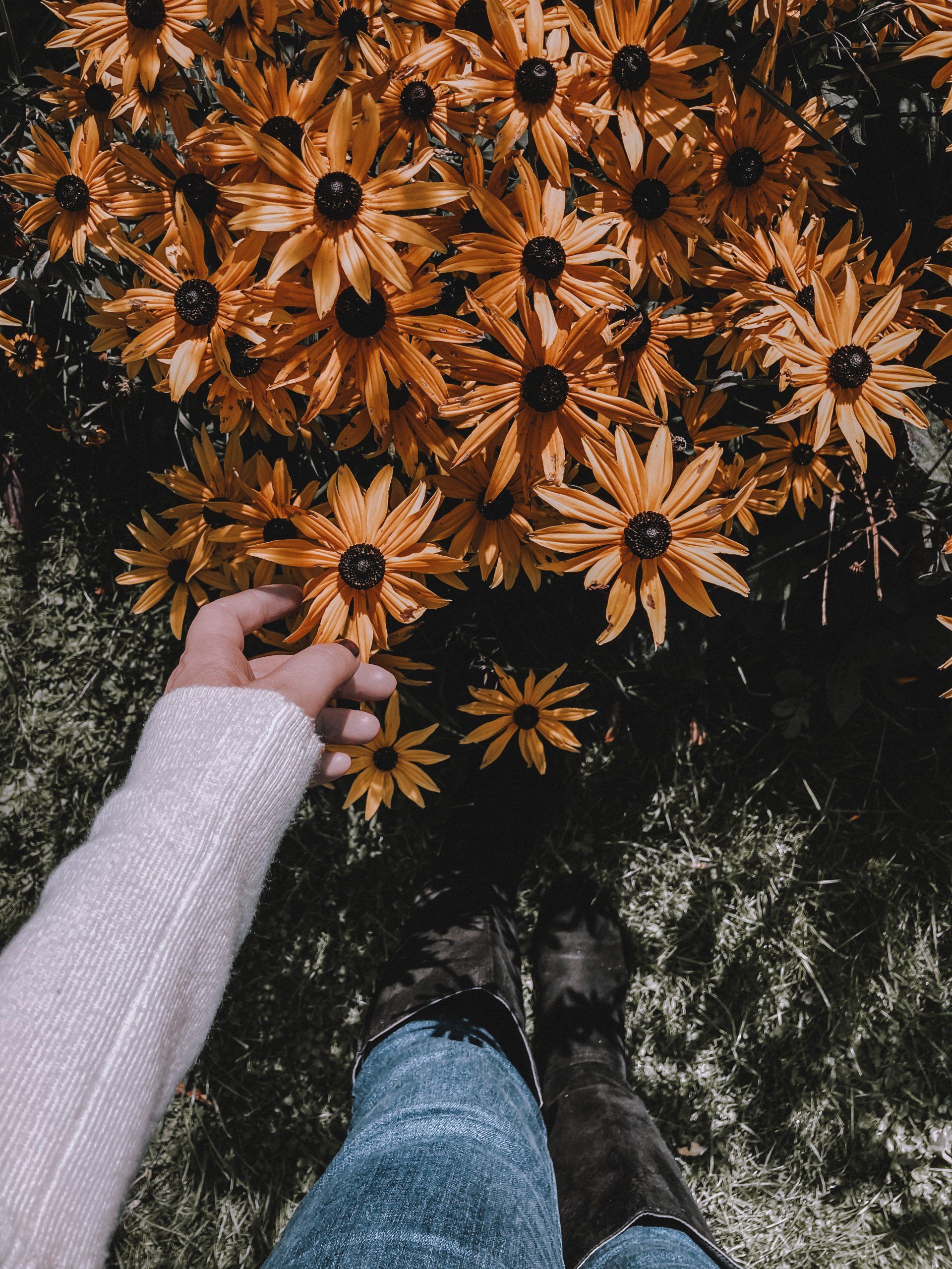 rispetto della natura donna che raccoglie fiori