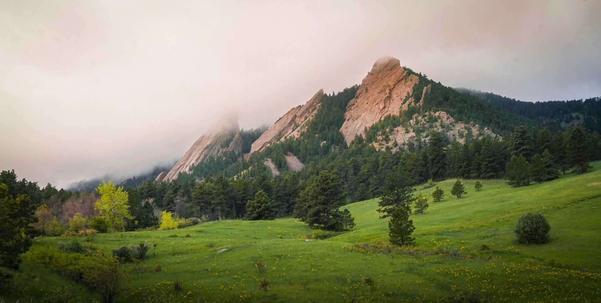 There is a mountain in the background and a grassy field in the foreground in Colorado