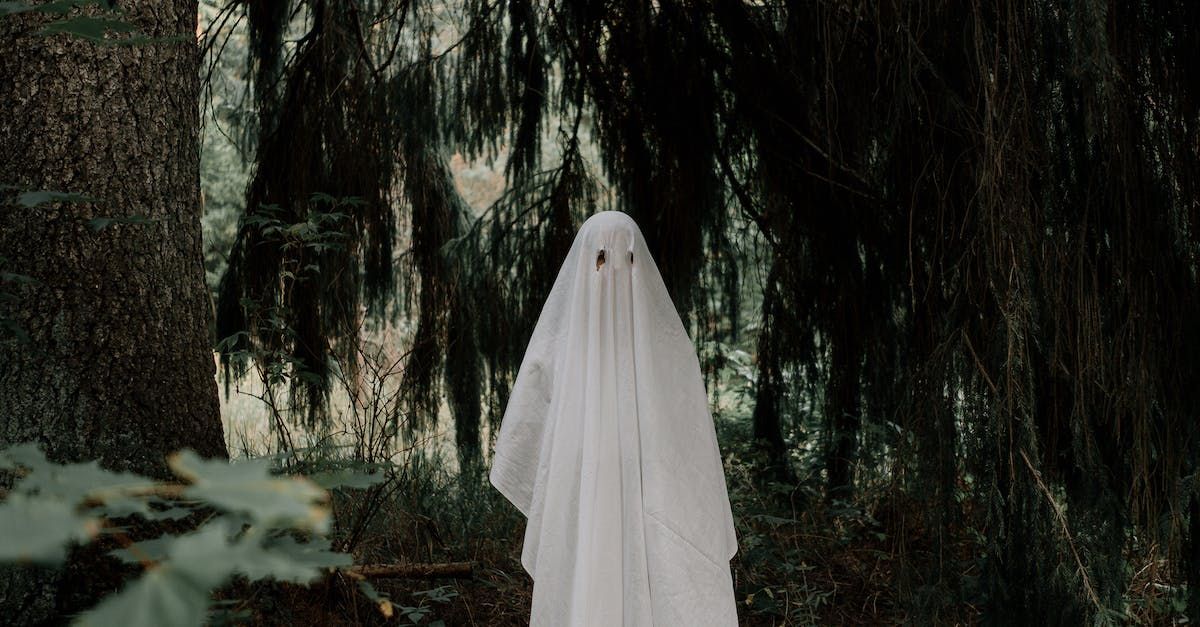 A ghost in a white sheet is standing in the woods.