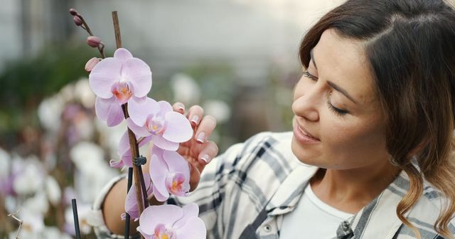 Buying orchids for Mom - Biscayne Times