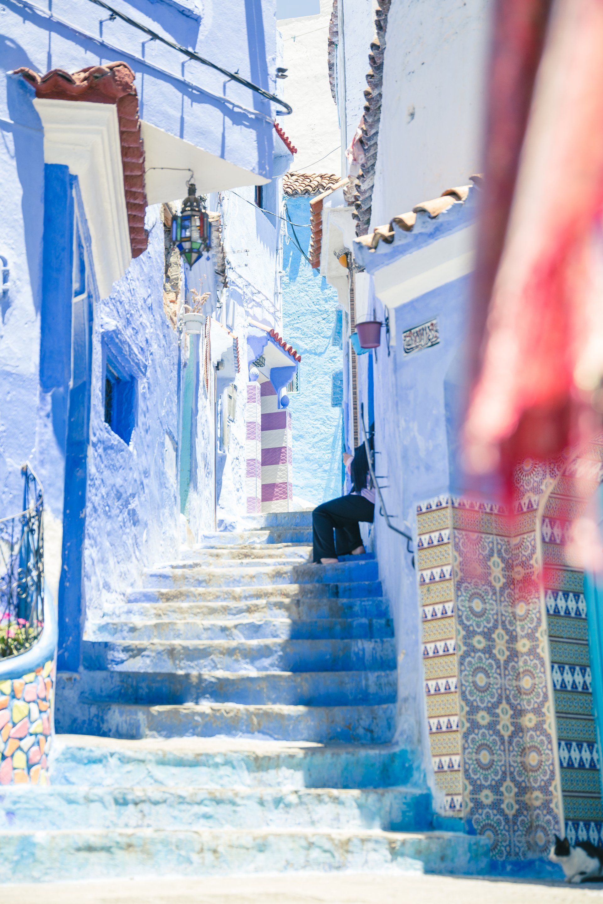 A cat is sitting on a set of stairs between two blue buildings.