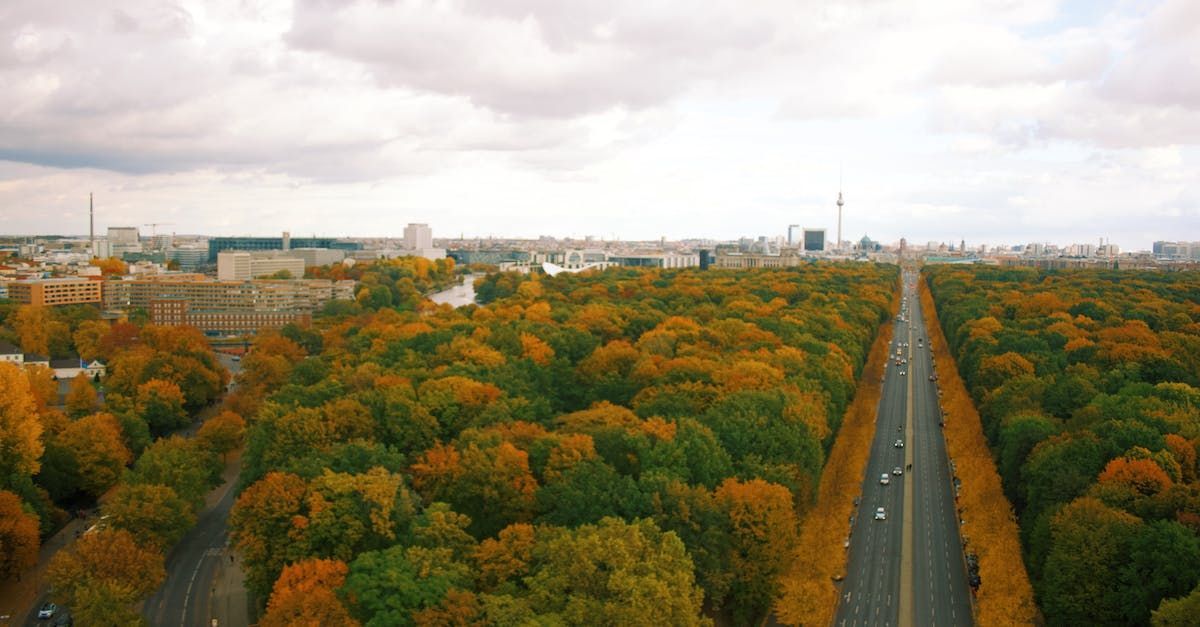 Tiergarten in Berlin Mitte