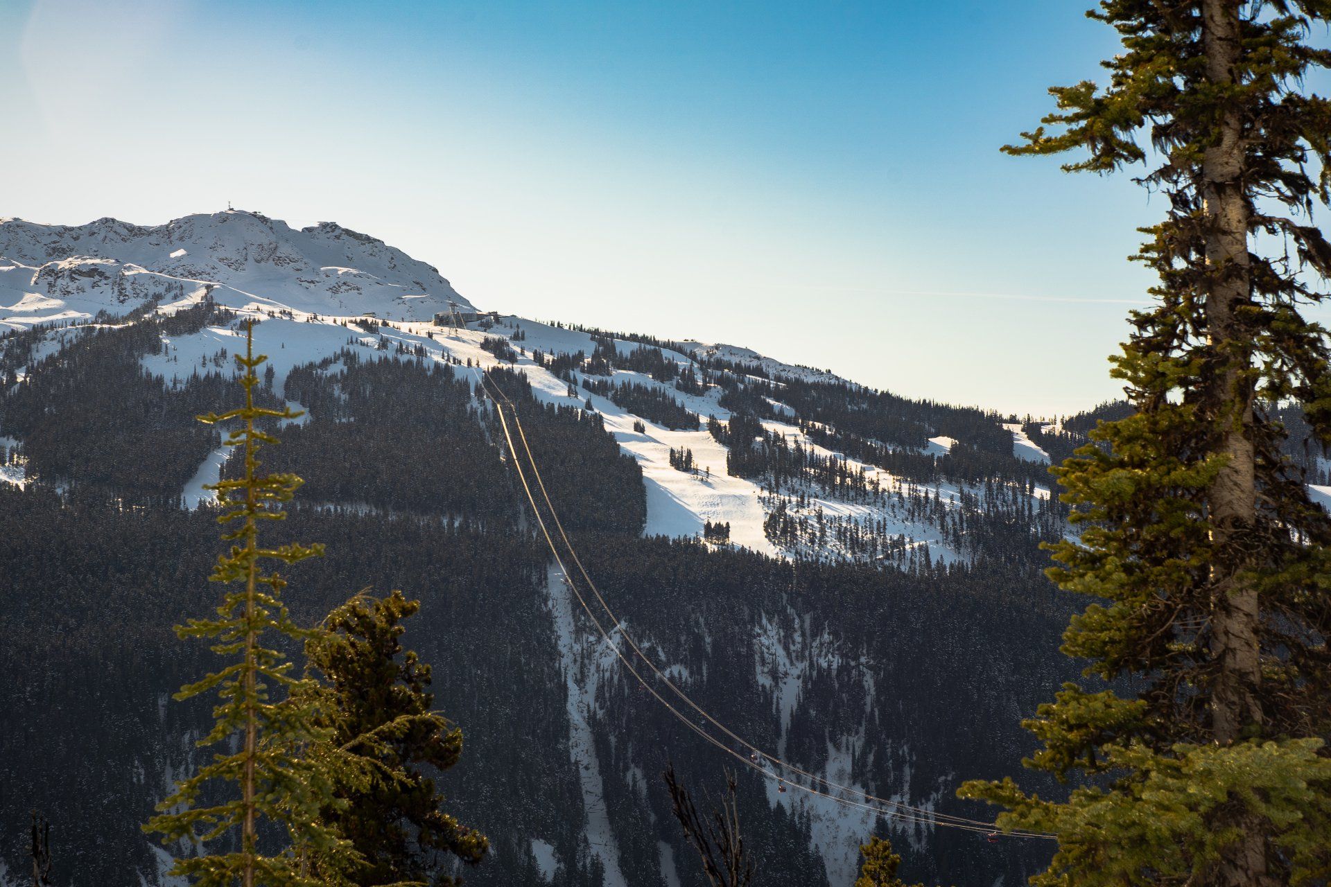 A ski slope in the mountains with trees in the foreground.