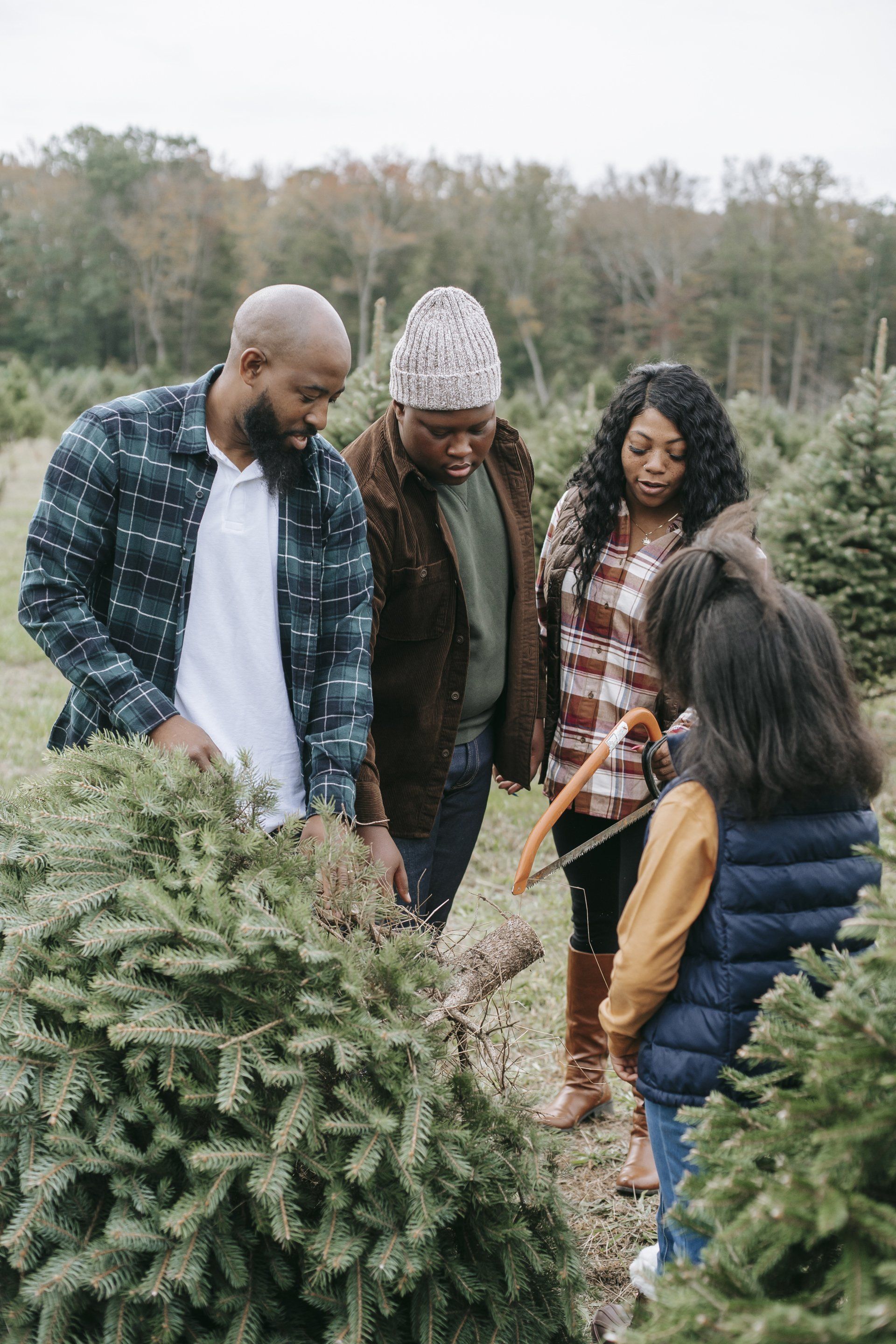 It's time to get your Christmas Tree!