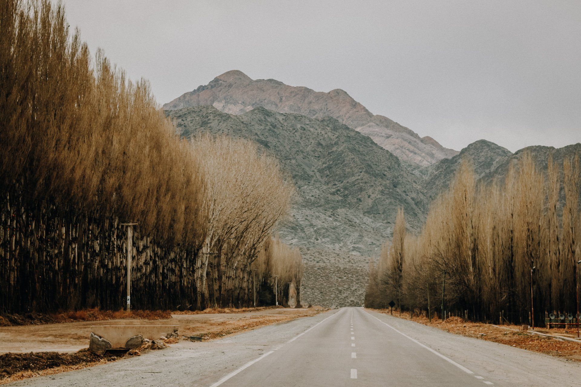 Uma estrada que atravessa uma floresta com montanhas ao fundo.