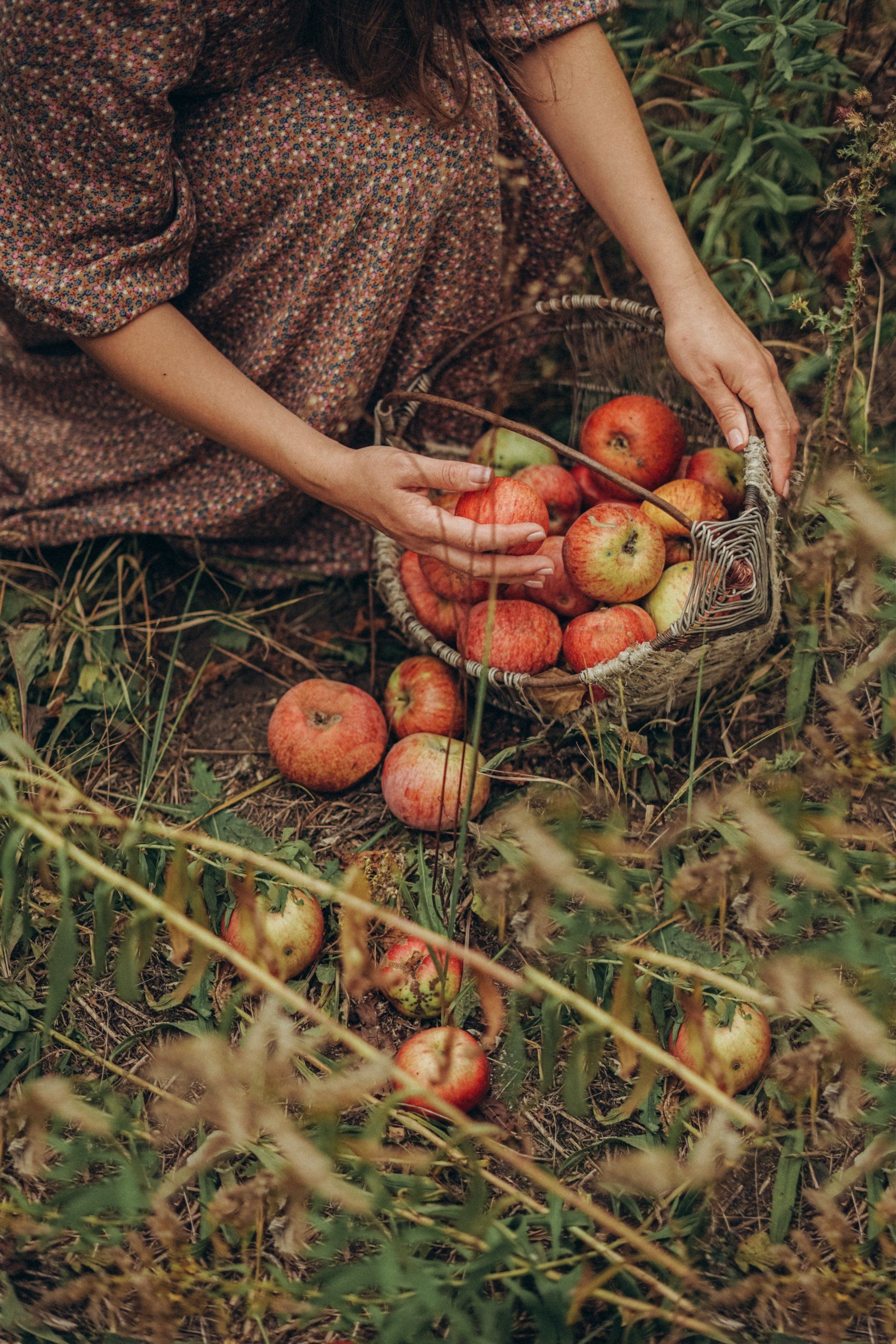 Why Spending Quality Life in Nature Matters by Sue Cartwright, Spiral Leaf