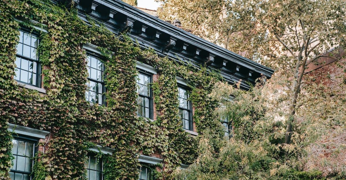 Photo of old building covered in ivy