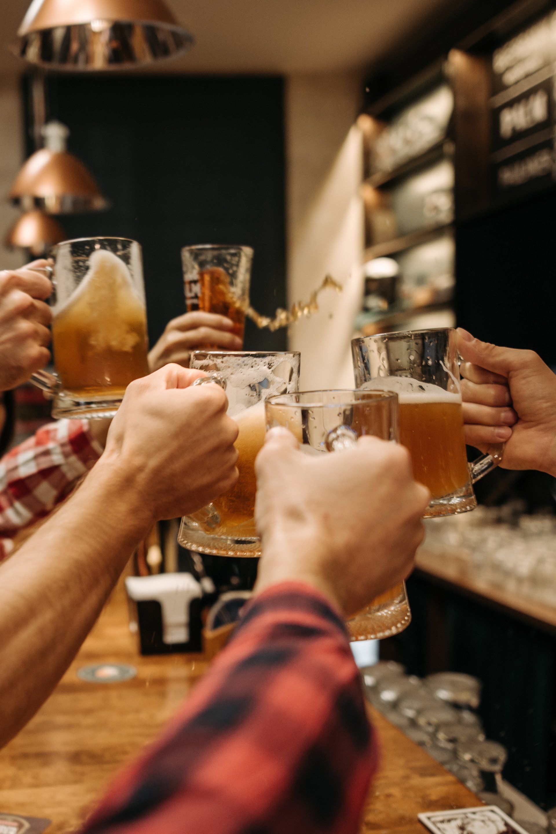 A group of people are toasting with beer glasses in a bar.
