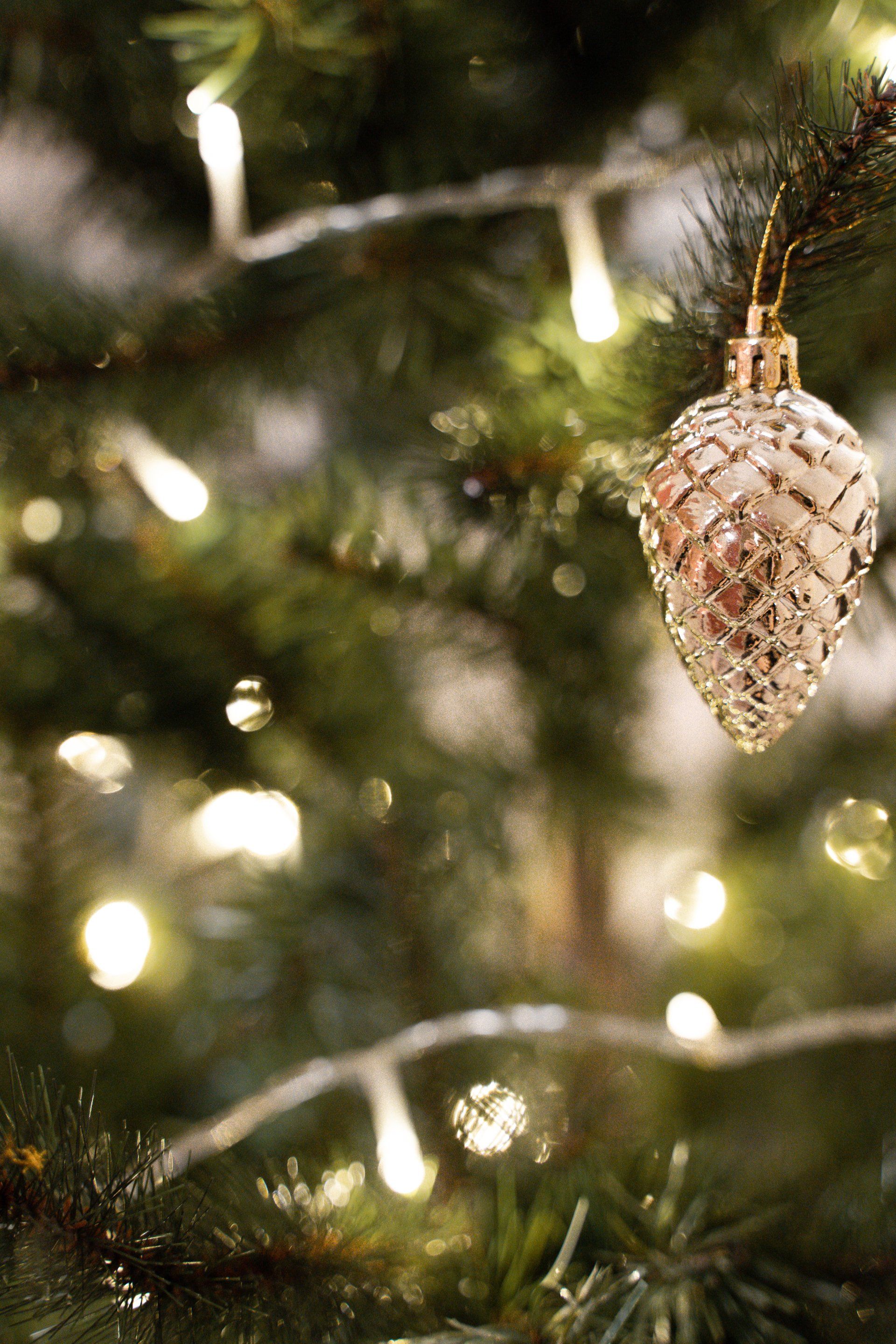 Your Christmas Tree & Ornaments Will Shine With Atkins Holiday Lighting Service in Mid-Missouri.